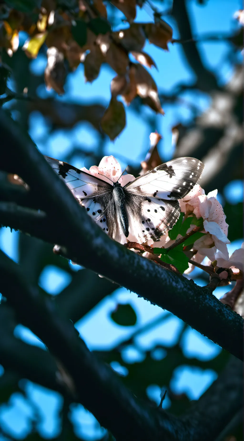 ai character: Ellie background