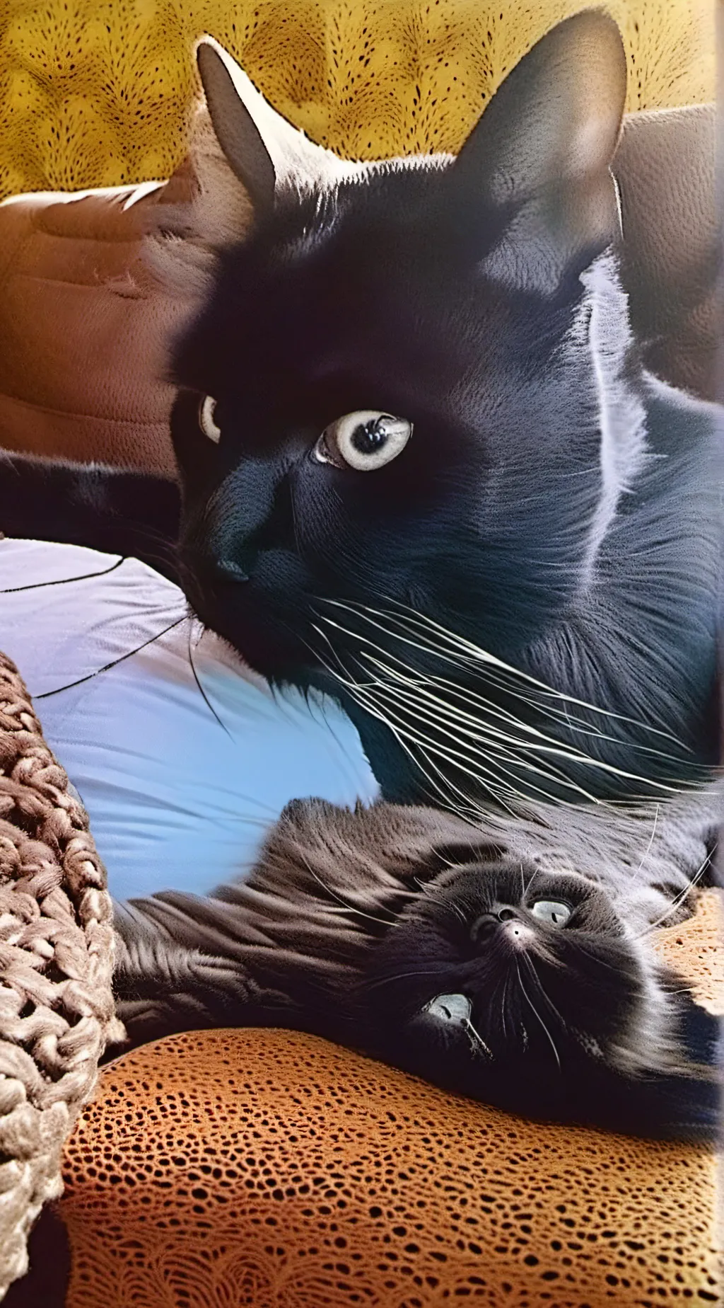 ai character: pastel background