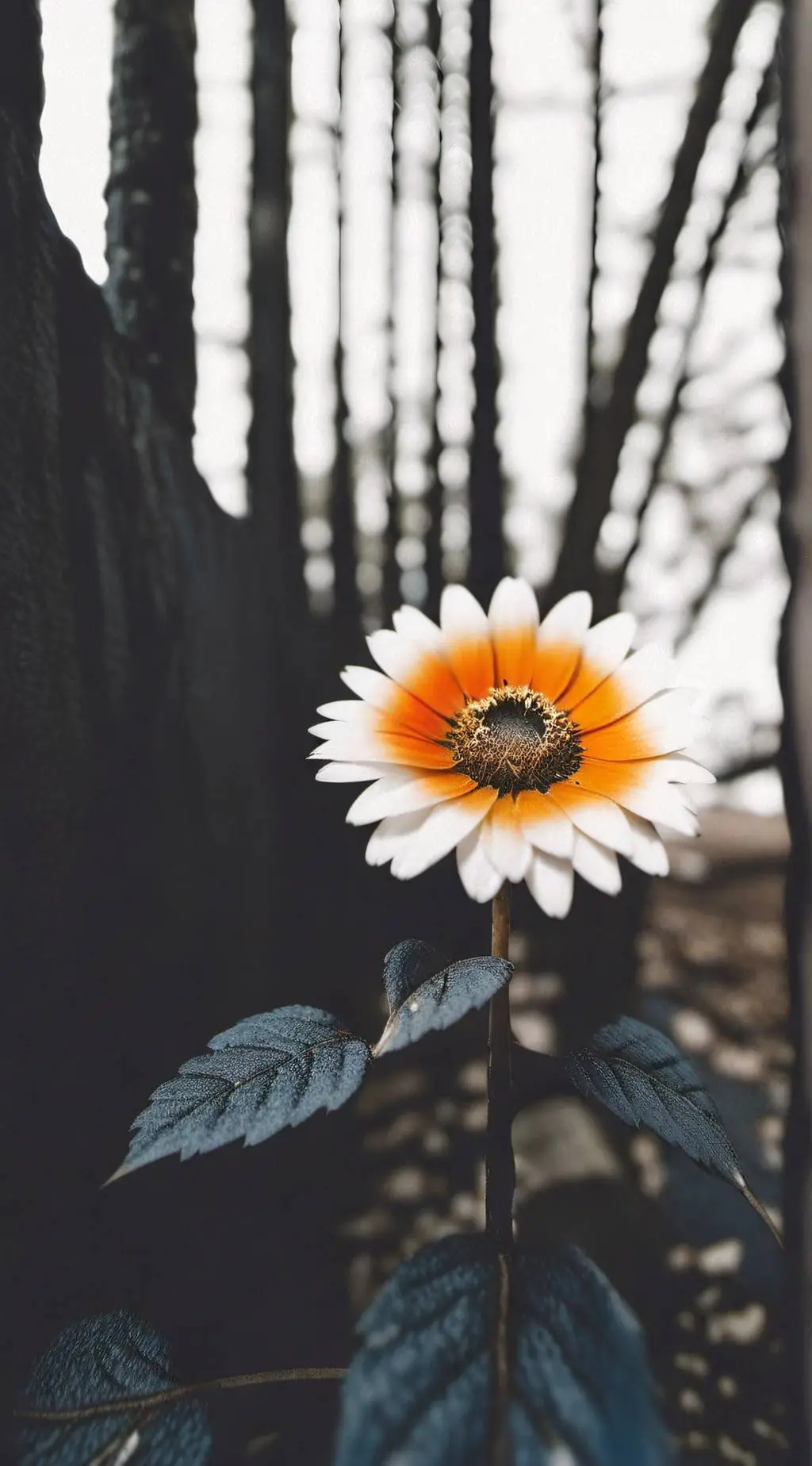 Talkie AI - Chat with sturniolo triplets