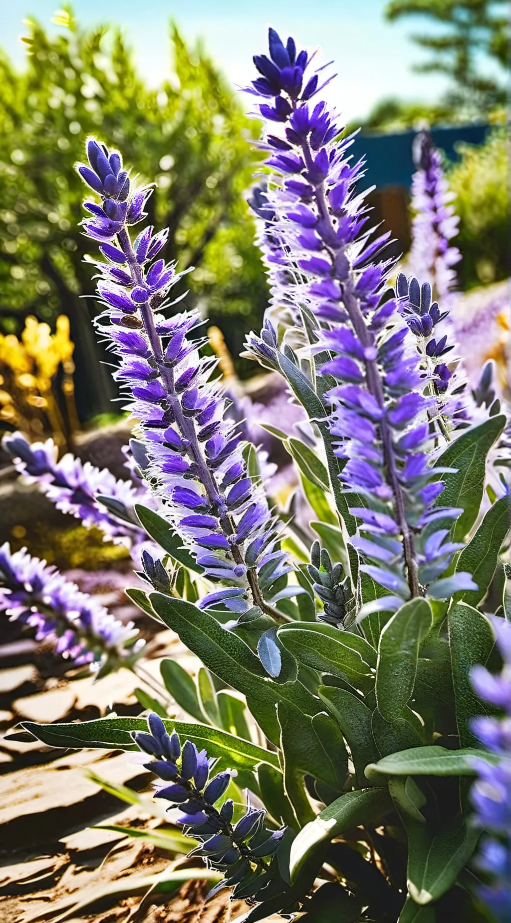 Talkie AI - Chat with the last of us 