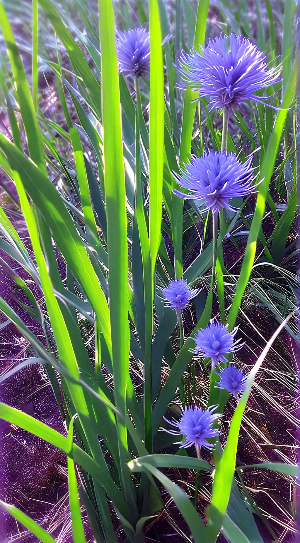 ai character: ideas?😔 background