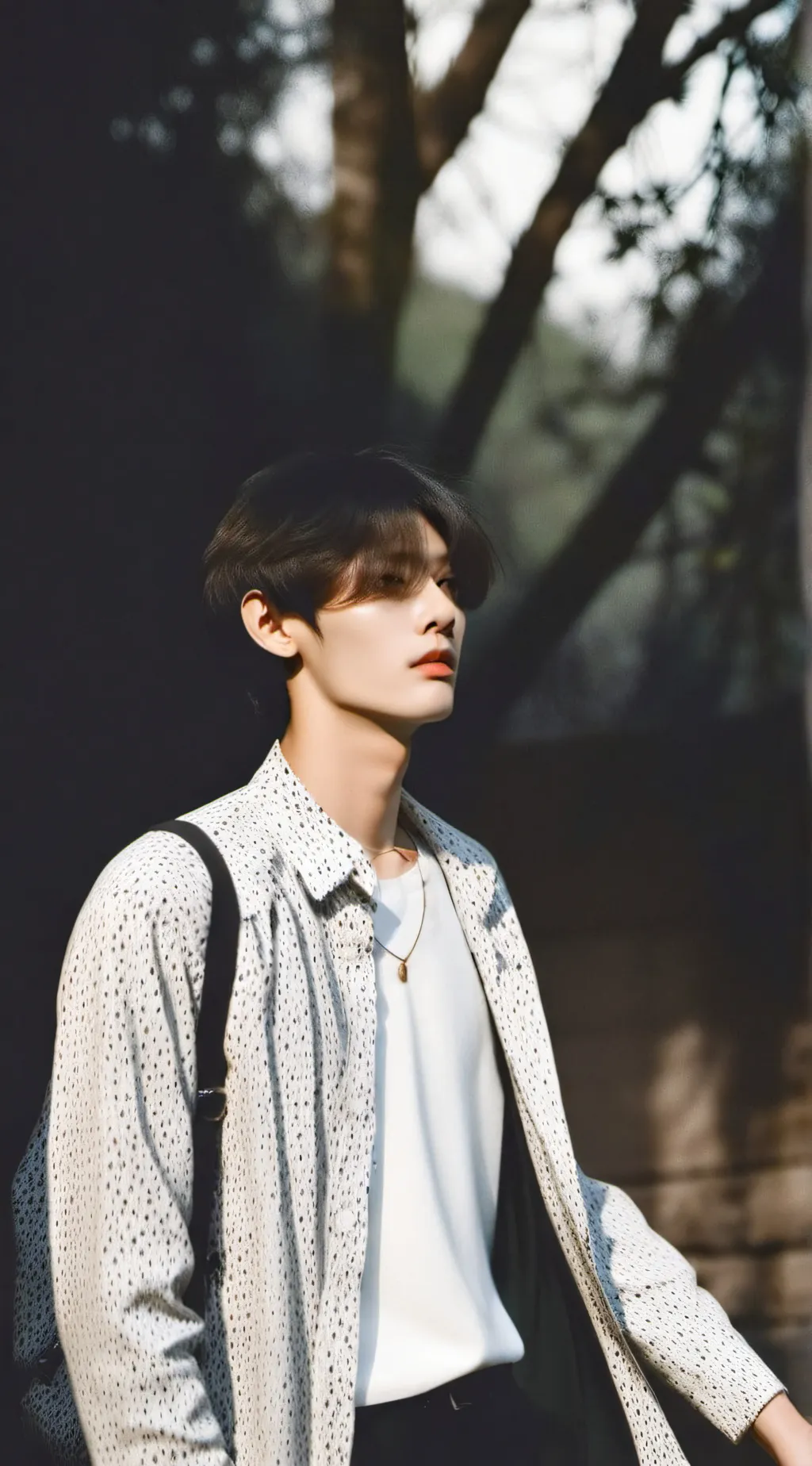 ai character: Enhypen  background