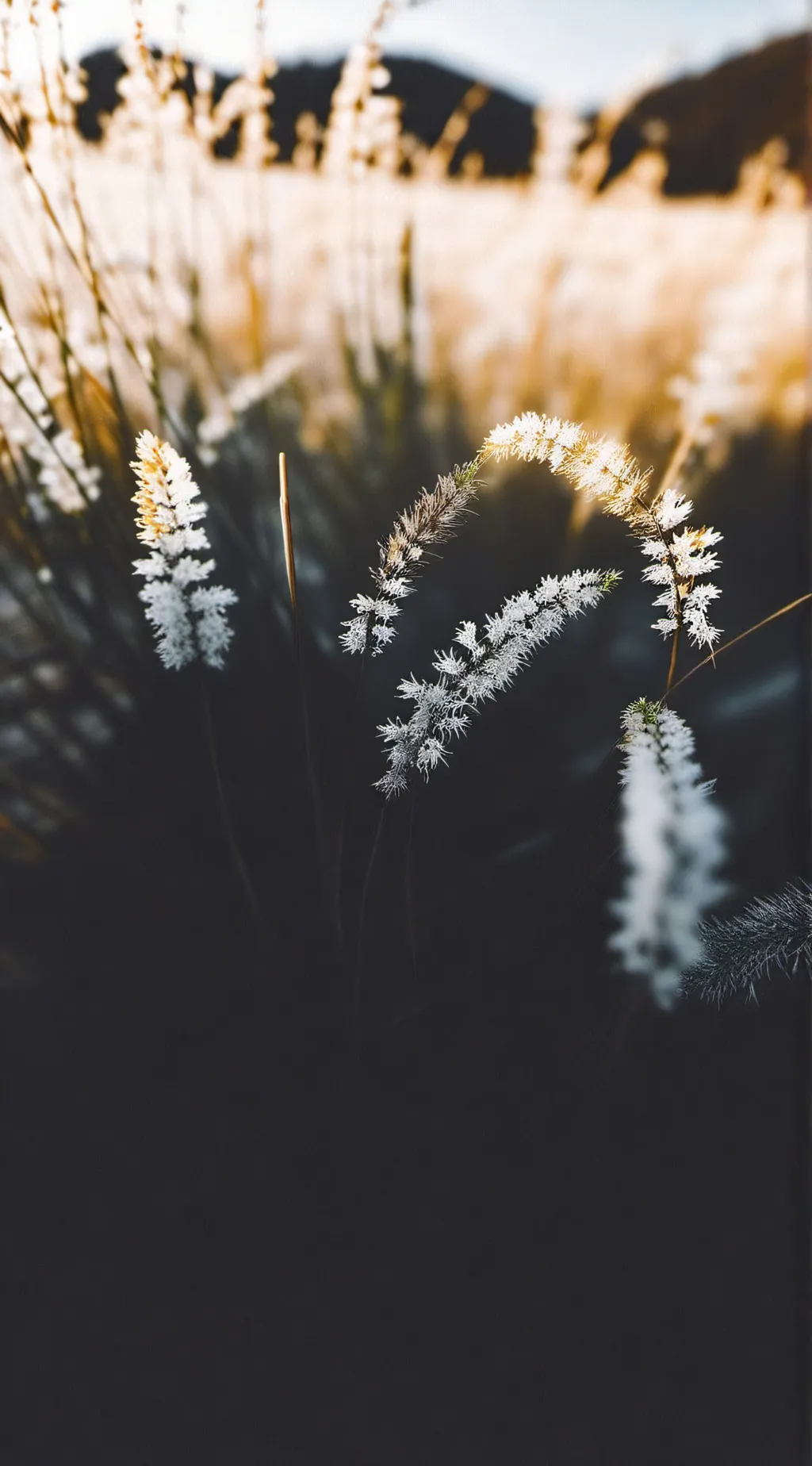 ai character: Finish the lyrics  background