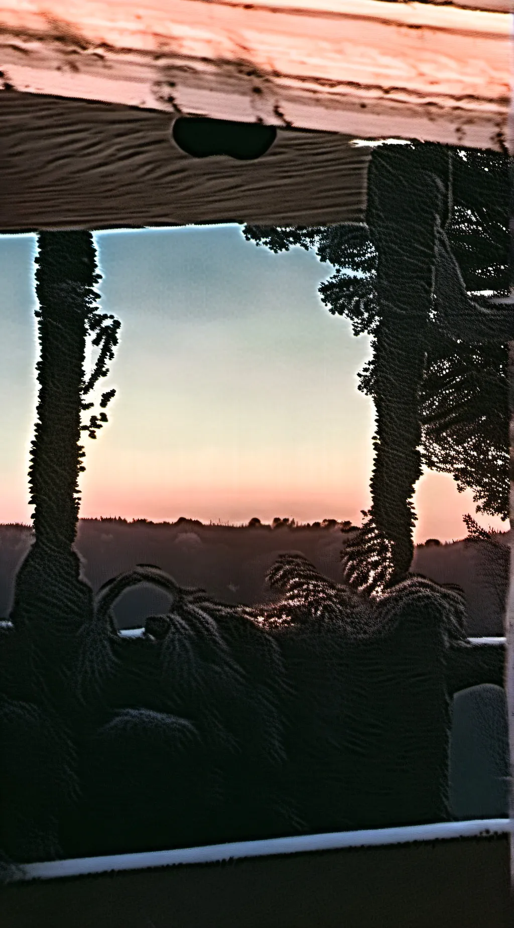 ai character: Gender Guesser background