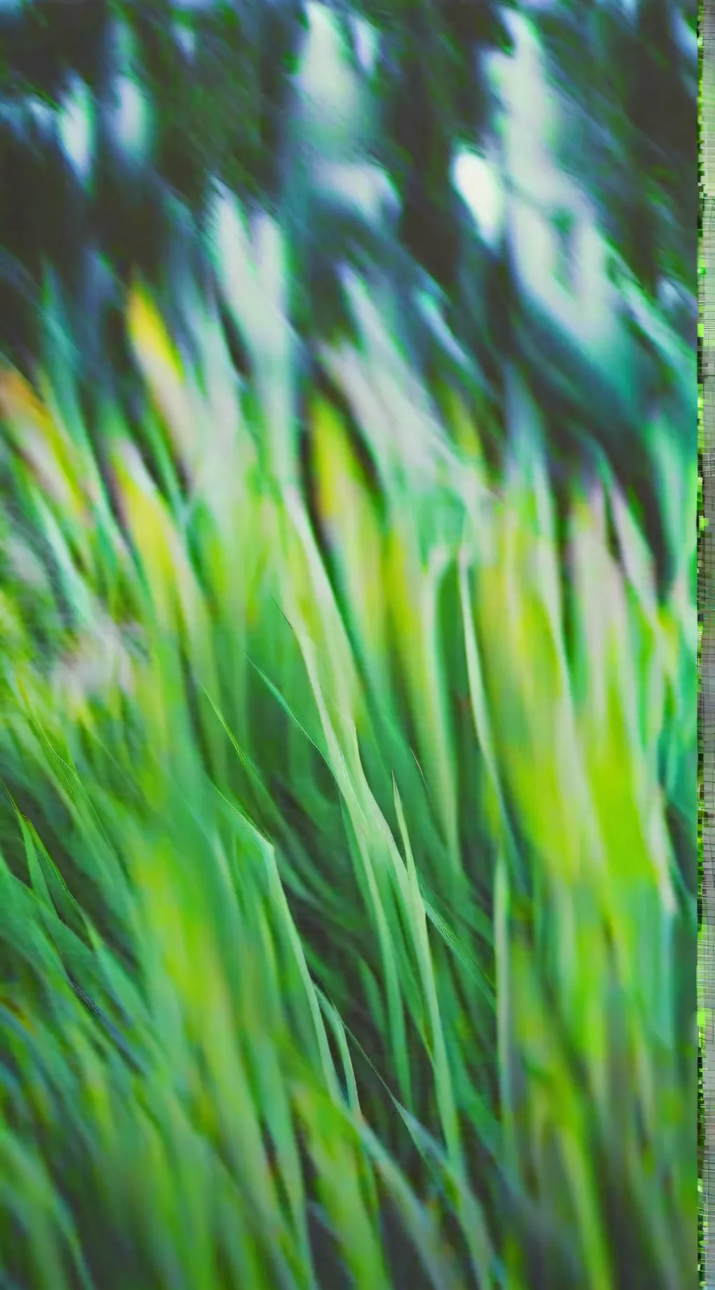 Talkie AI - Chat with grass