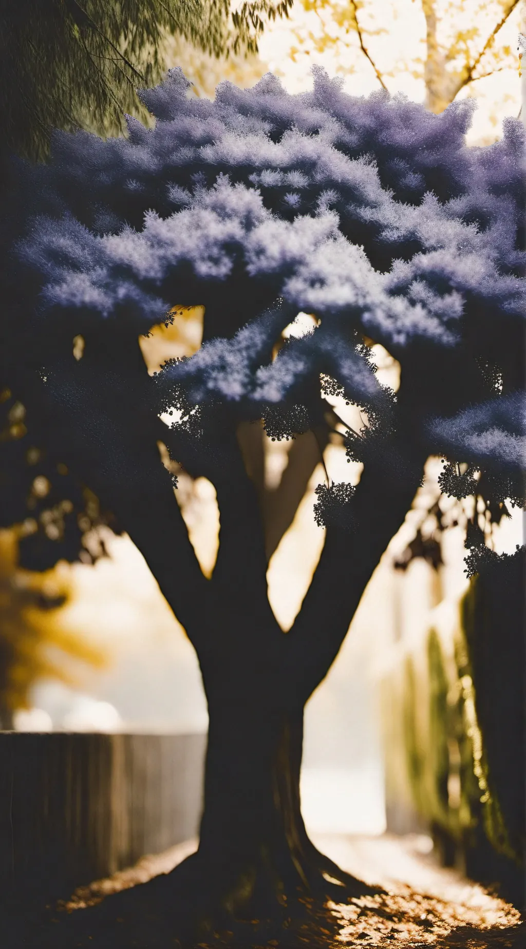 ai character: DSMP🦈🩵 background