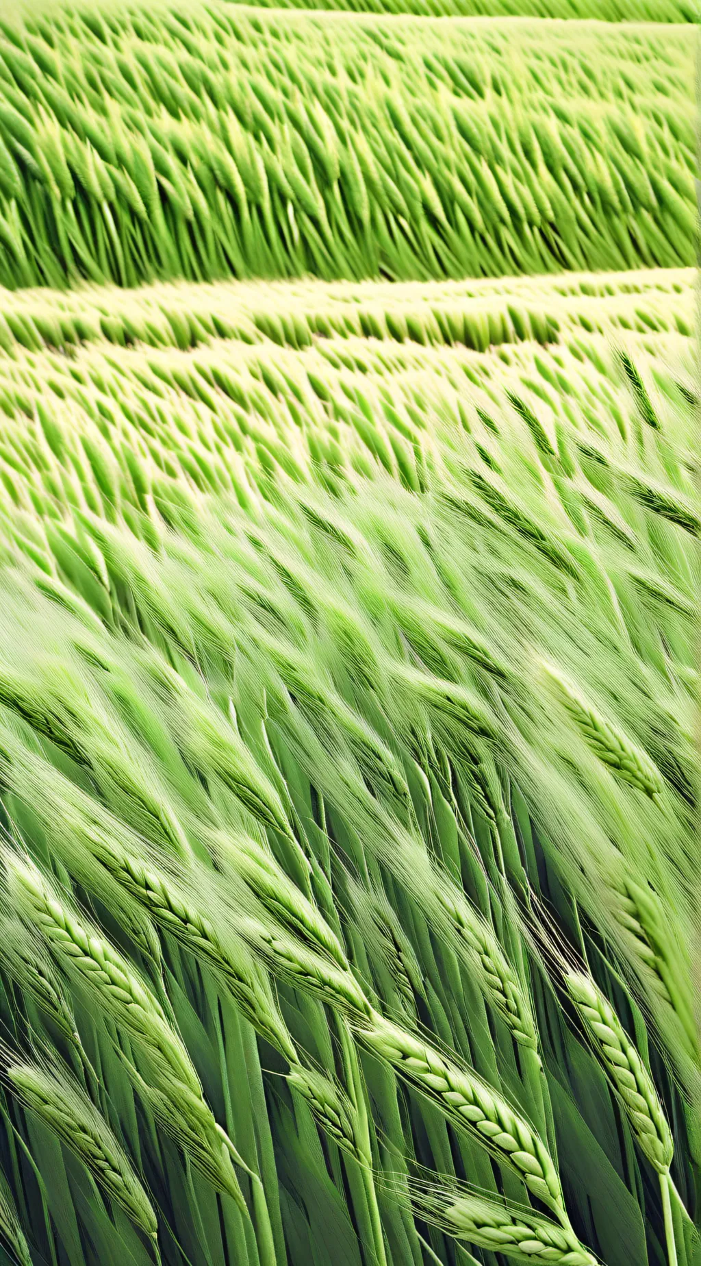 Talkie AI - Chat with GRASS