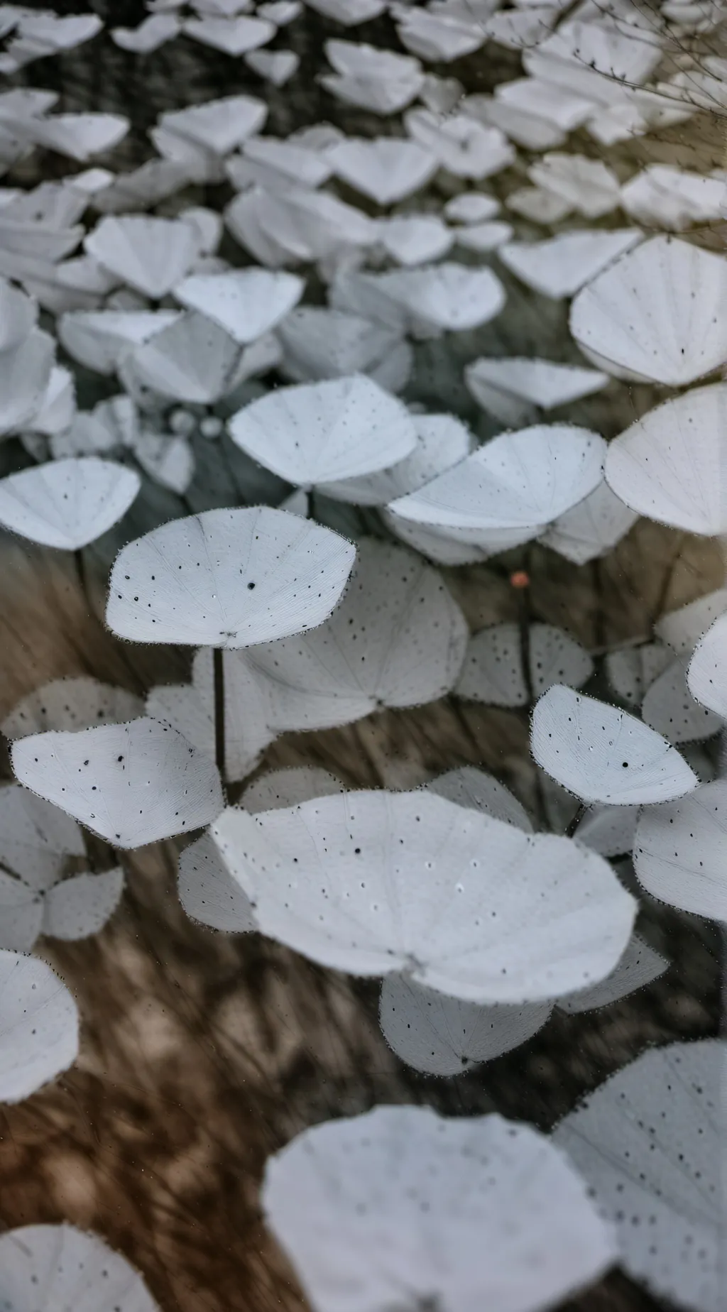 ai character: family roadtrip background