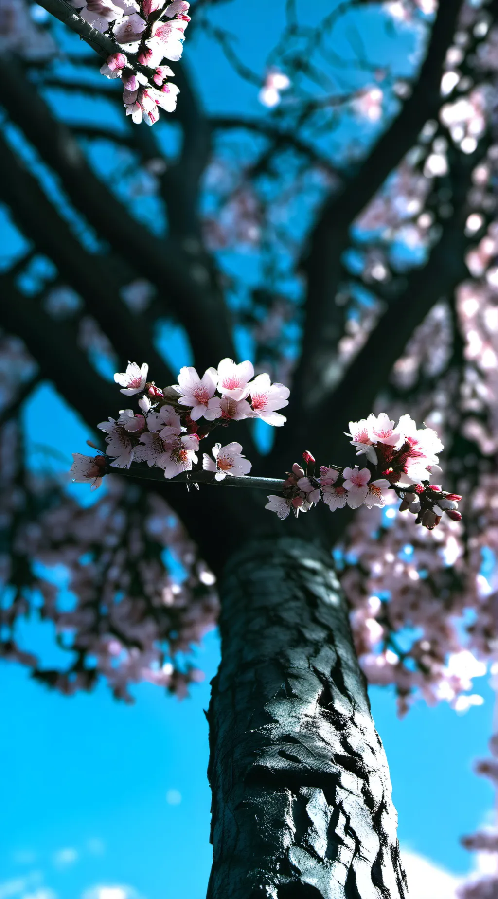 ai character: DSMP but Amusement background