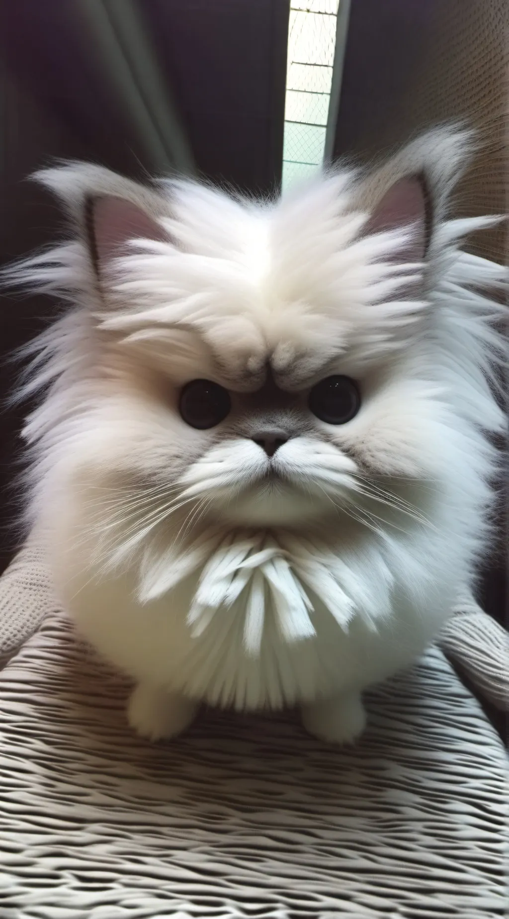 ai character: Sparrow background