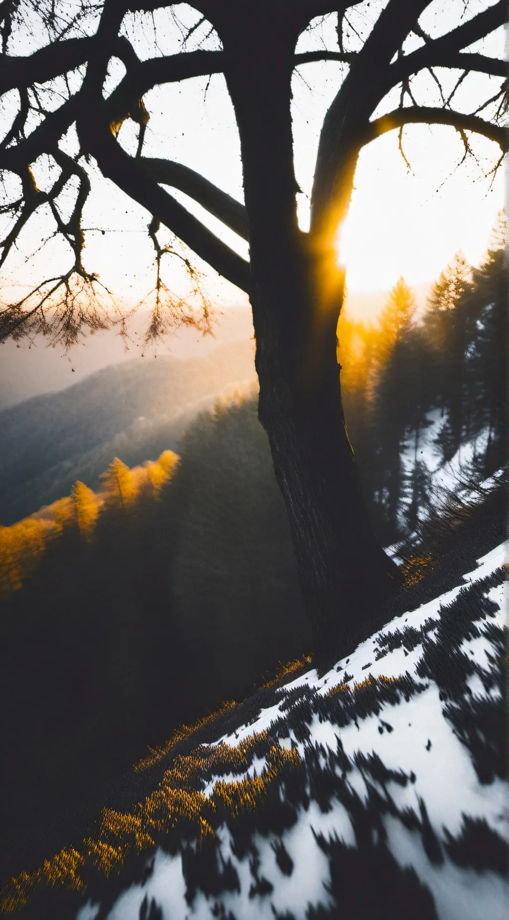 ai character: Life Rp background