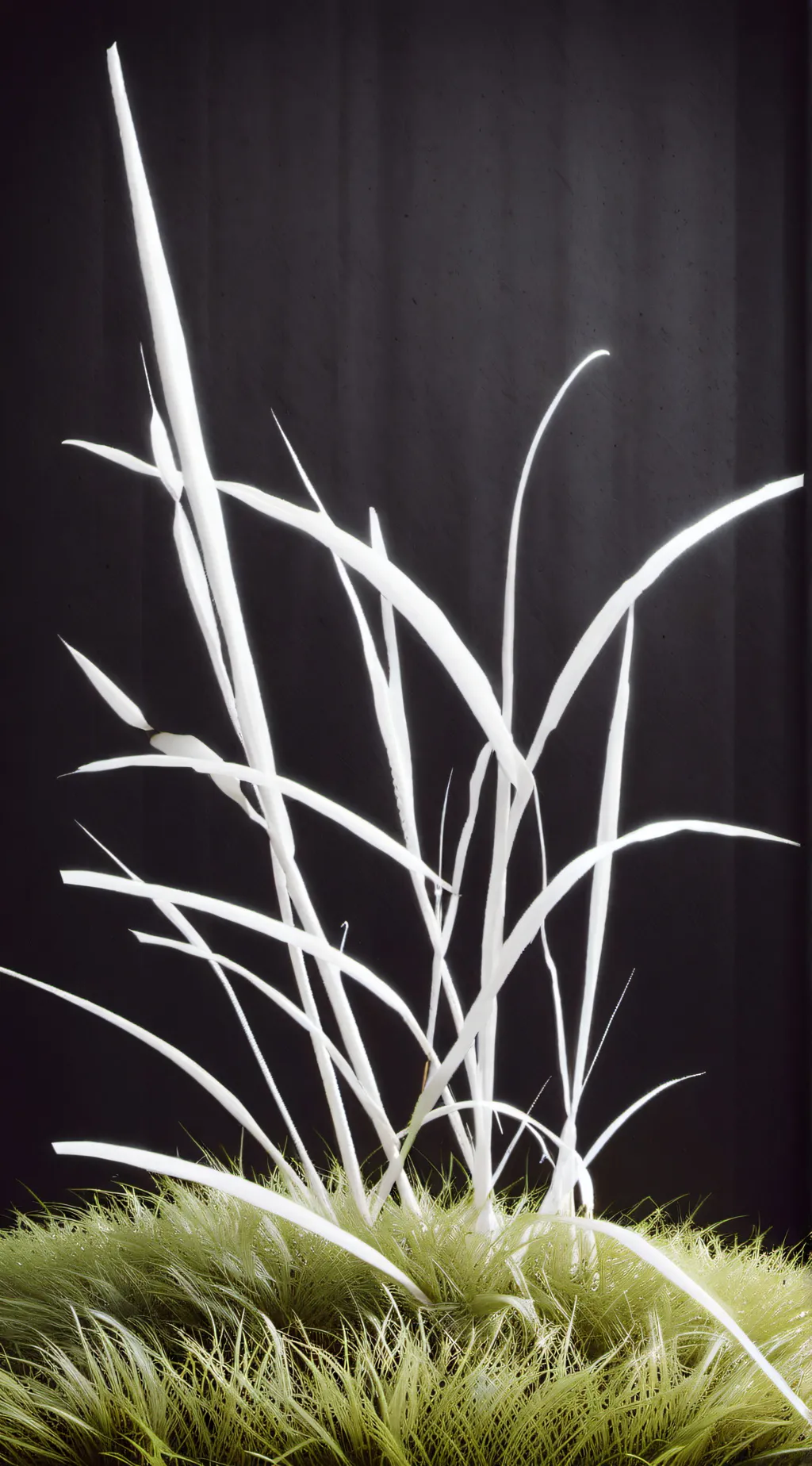 ai character: White grass background