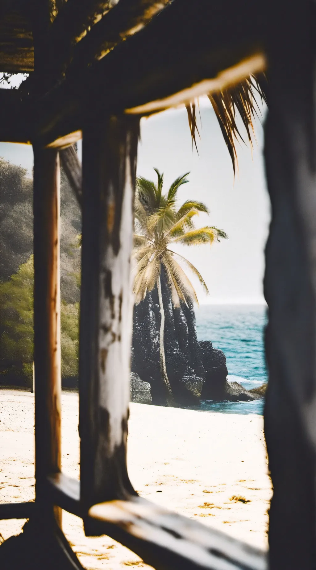 ai character: Class Trip background