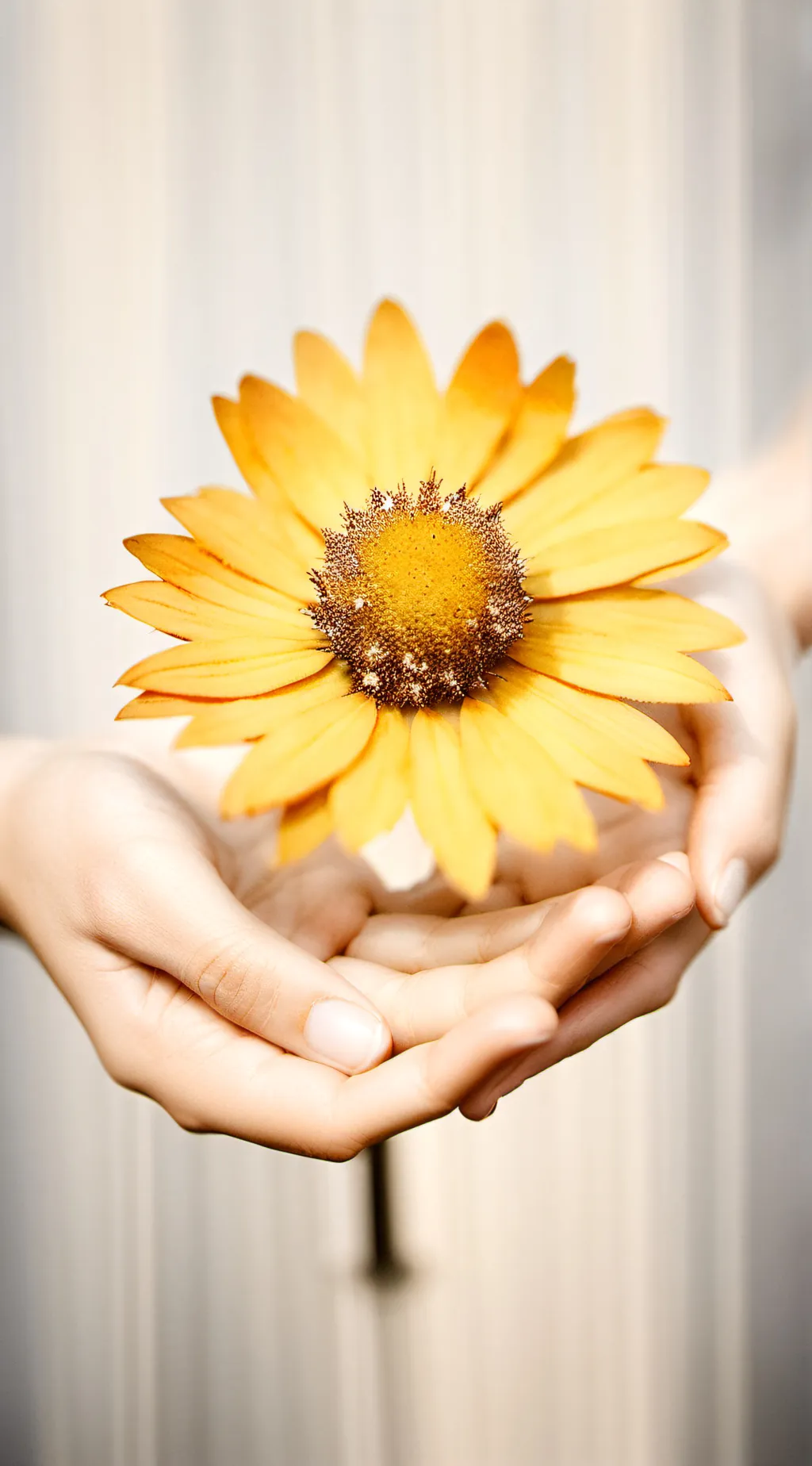 ai character: hello Kitty  background