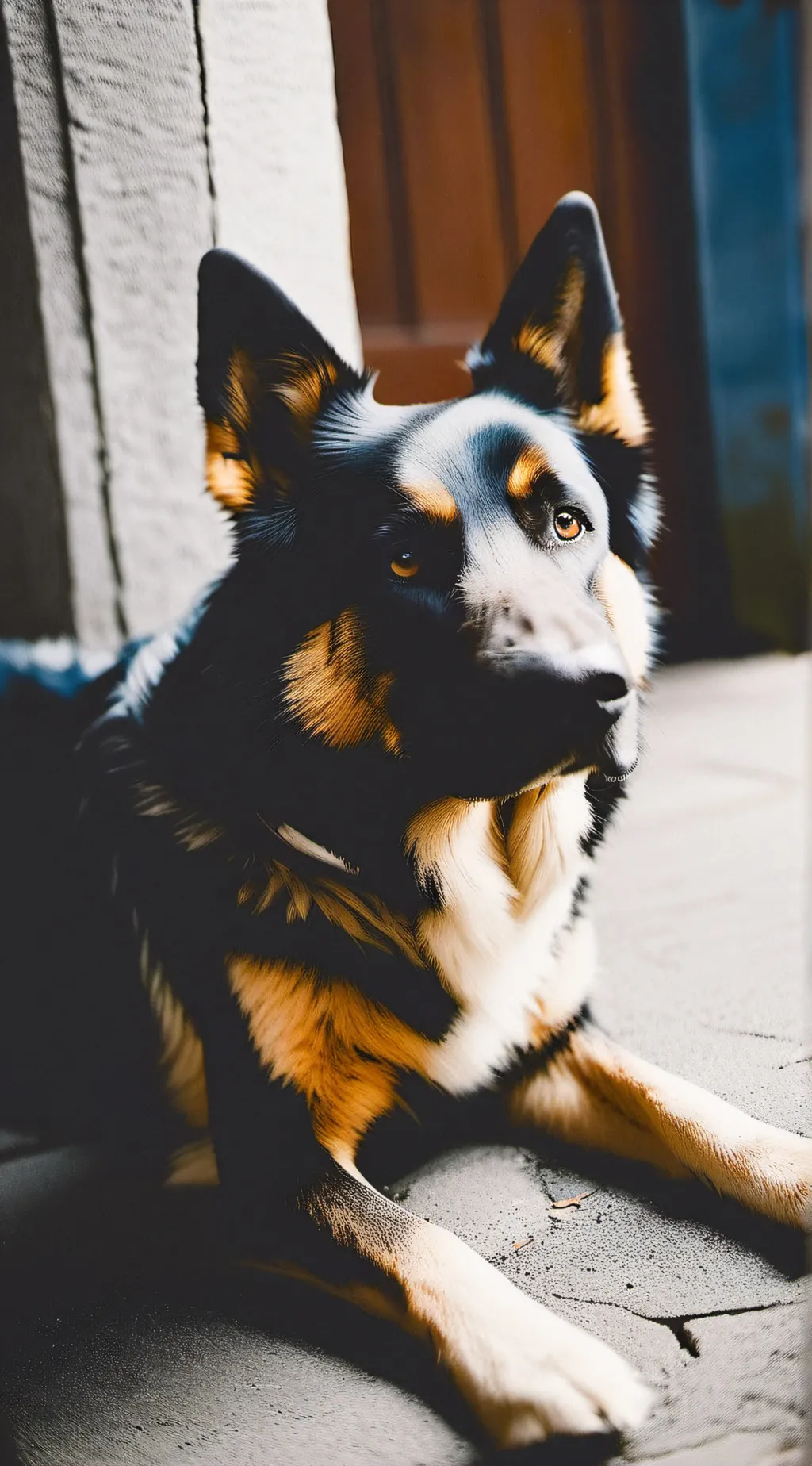 ai character: sparky background