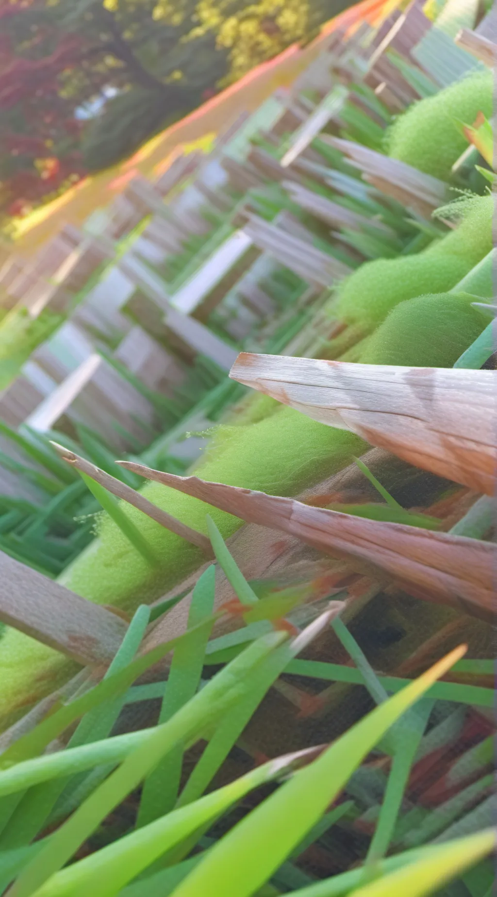 ai character: grass background