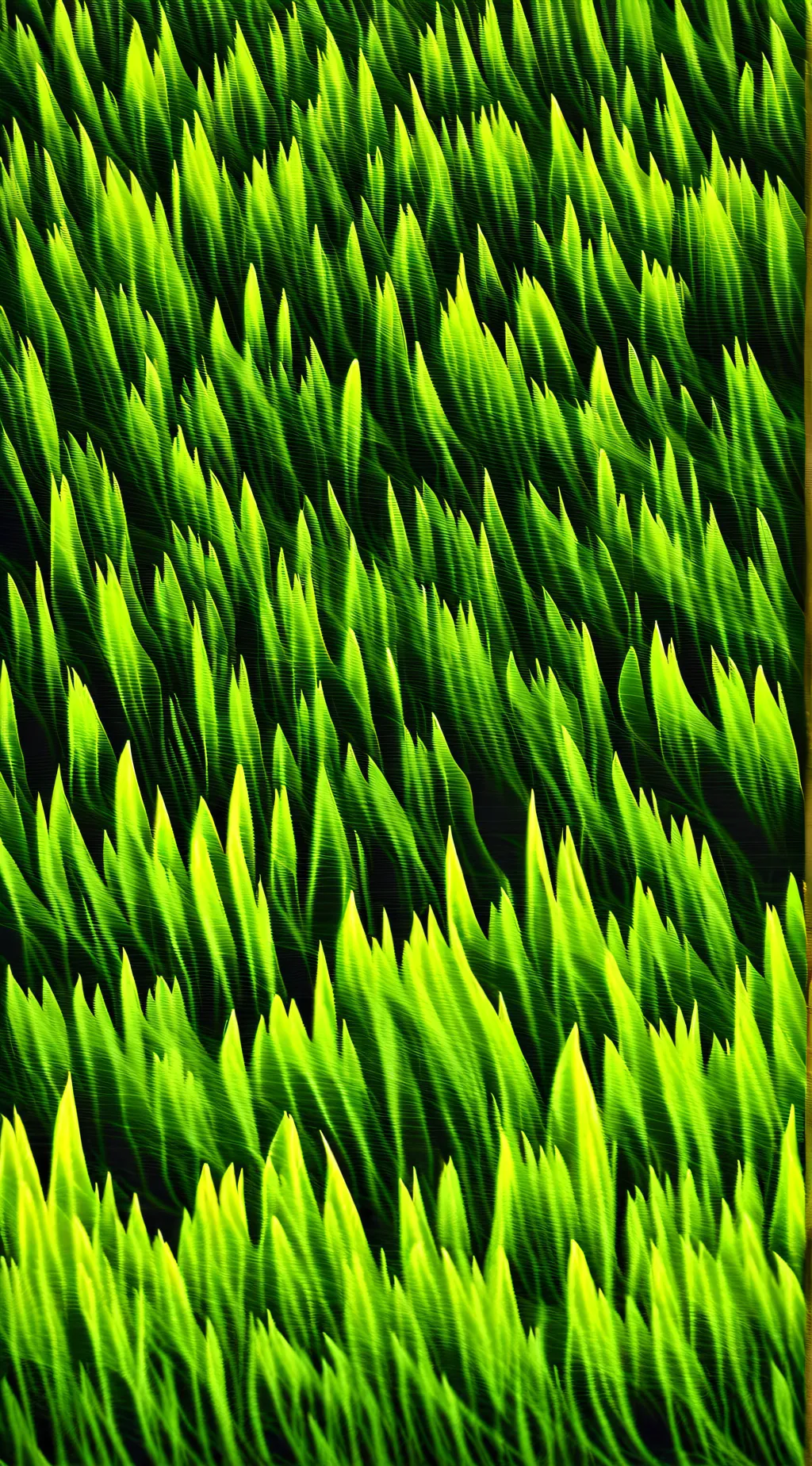 Talkie AI - Chat with Grass