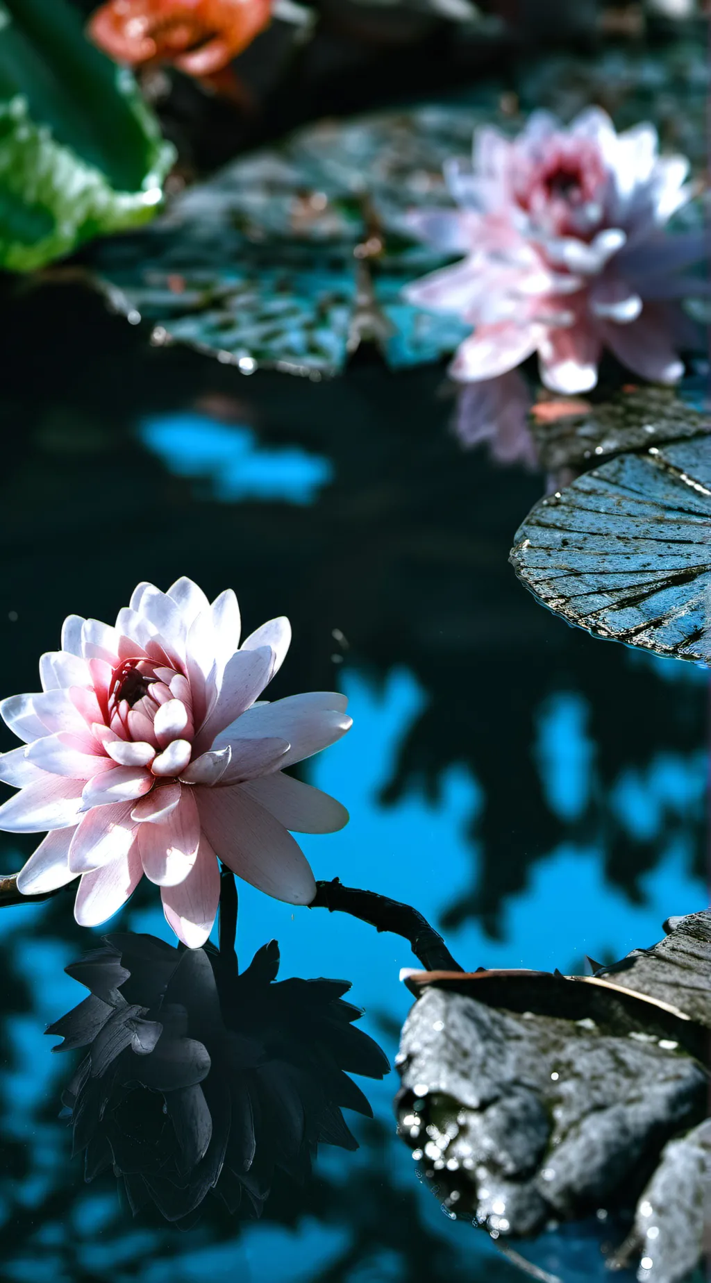 ai character: Changing Account background