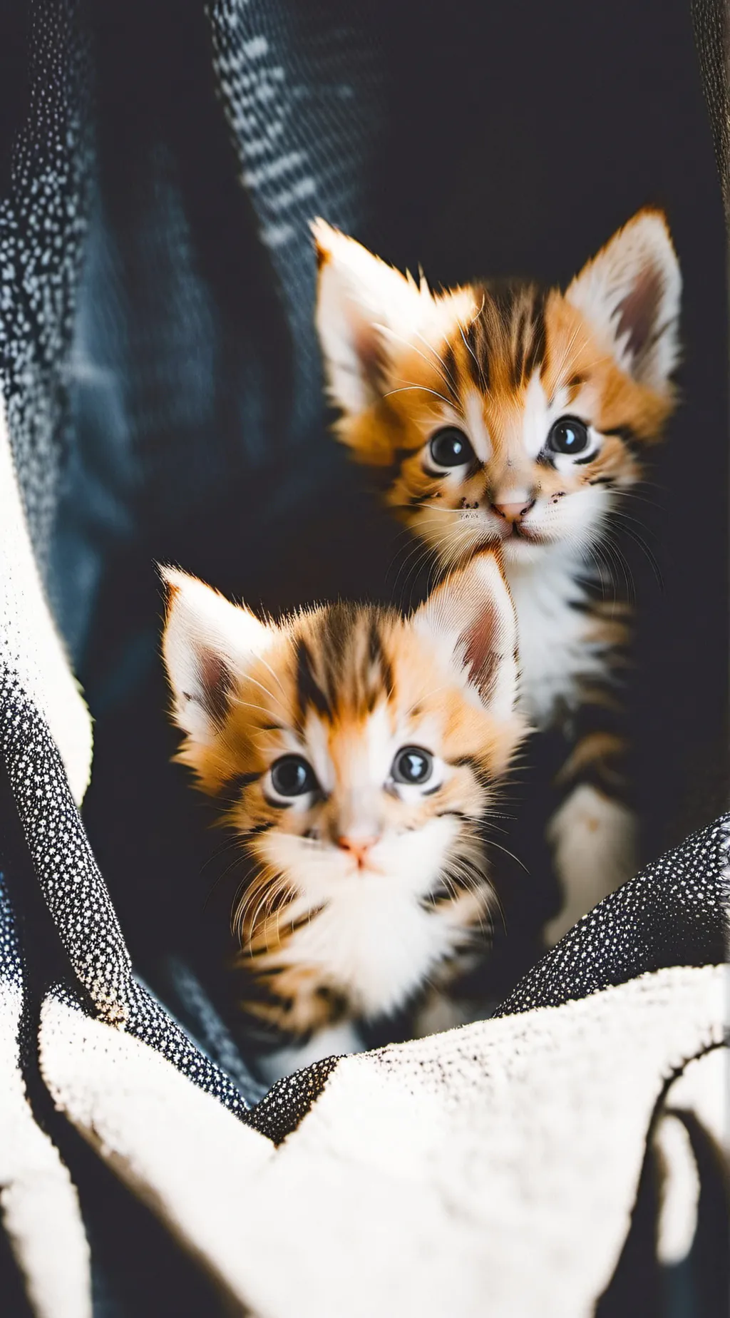 ai character: snc background