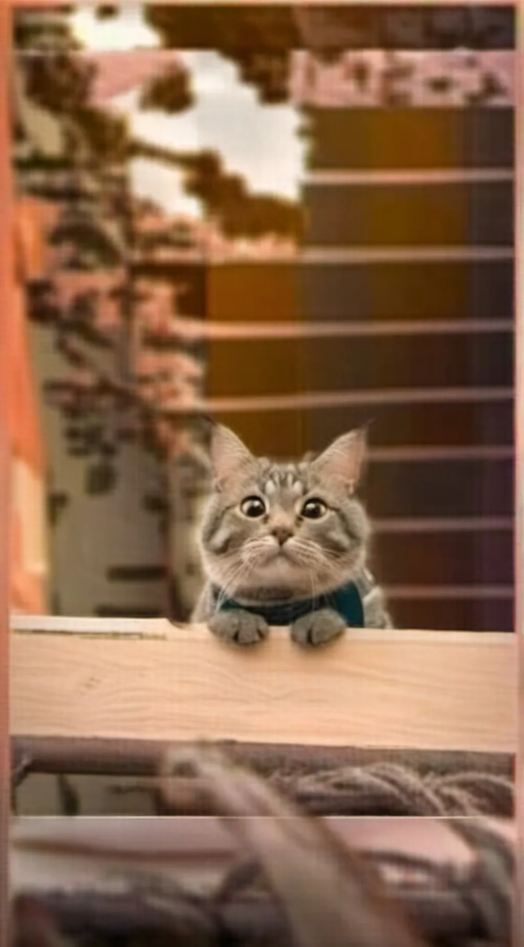 ai character: cat background