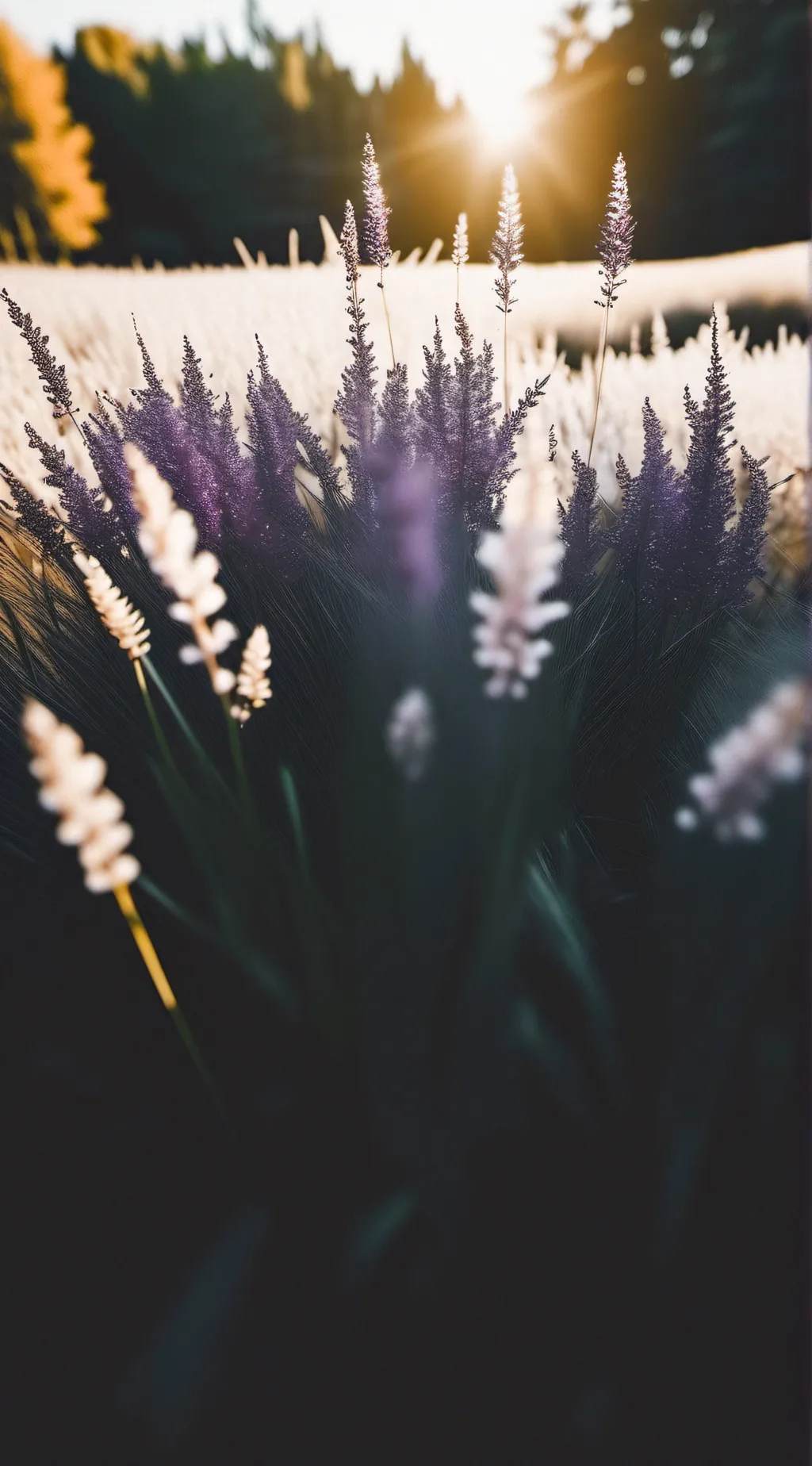 ai character: the nice grass...  background