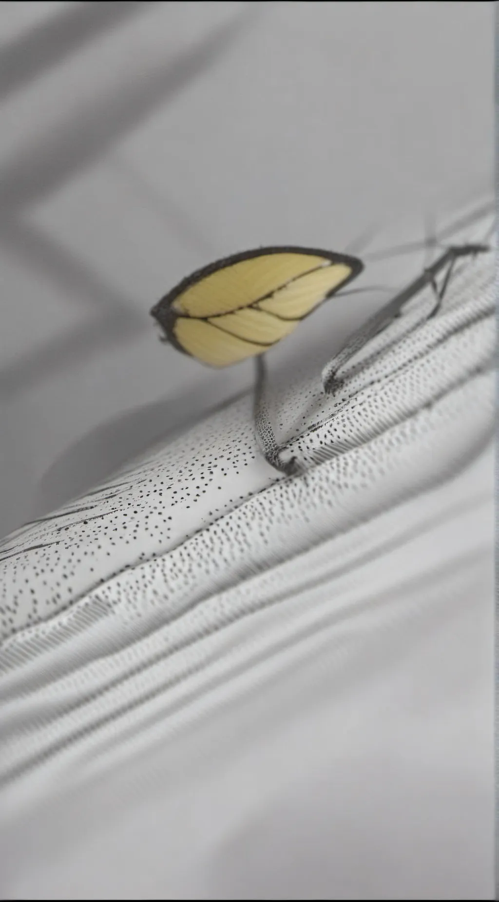 ai character: Mha background