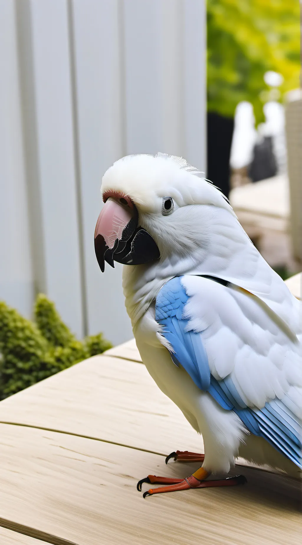 ai character: Josh background