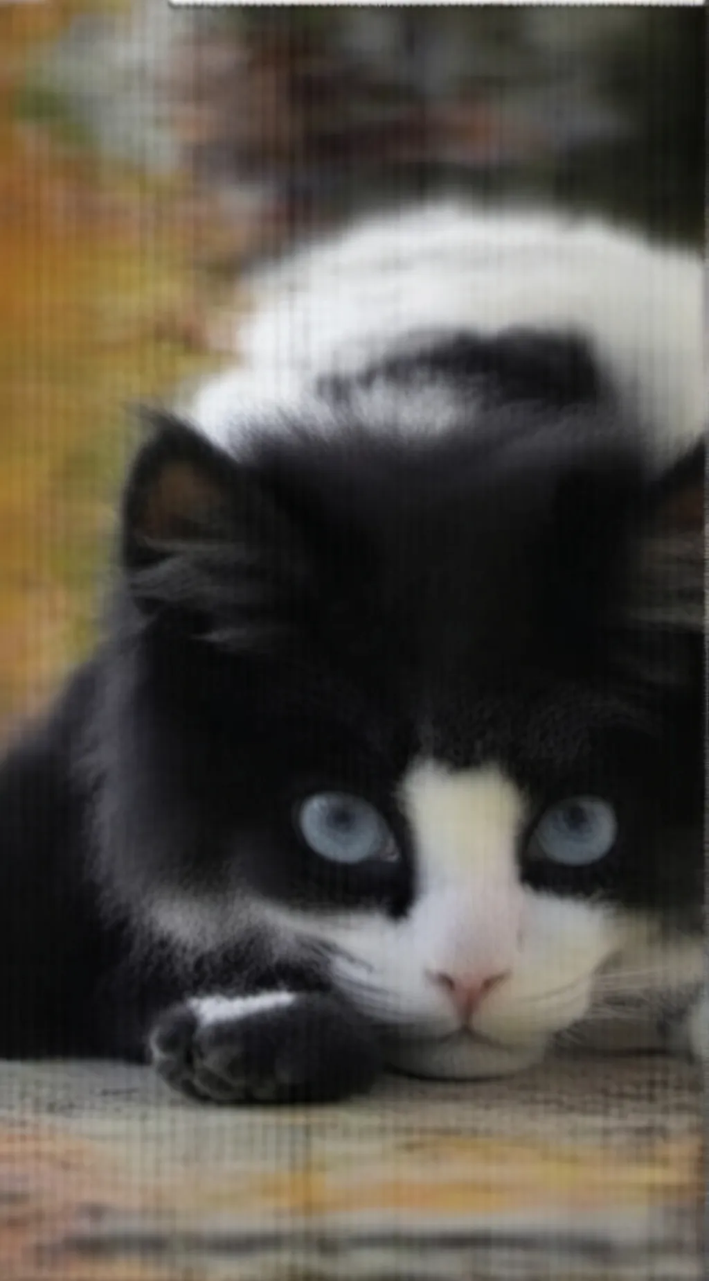 ai character: Me(Bloom/Faith) background