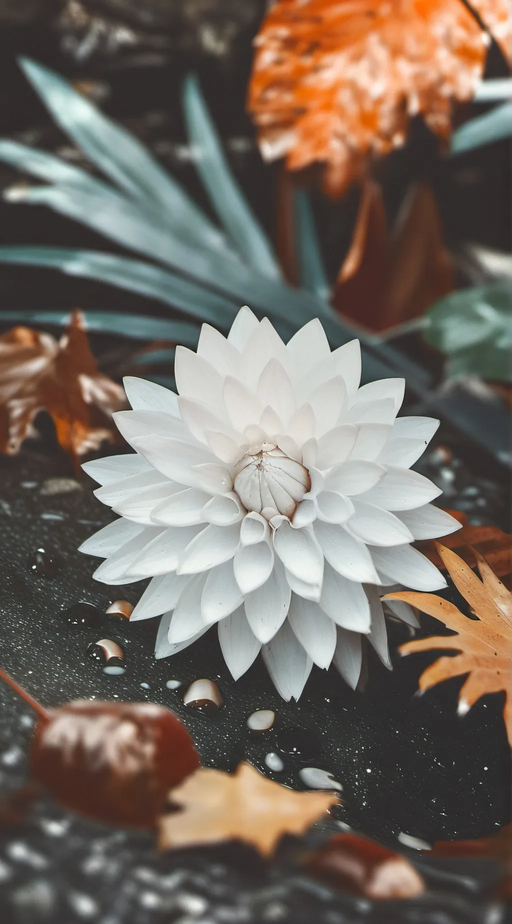 ai character: CAT background