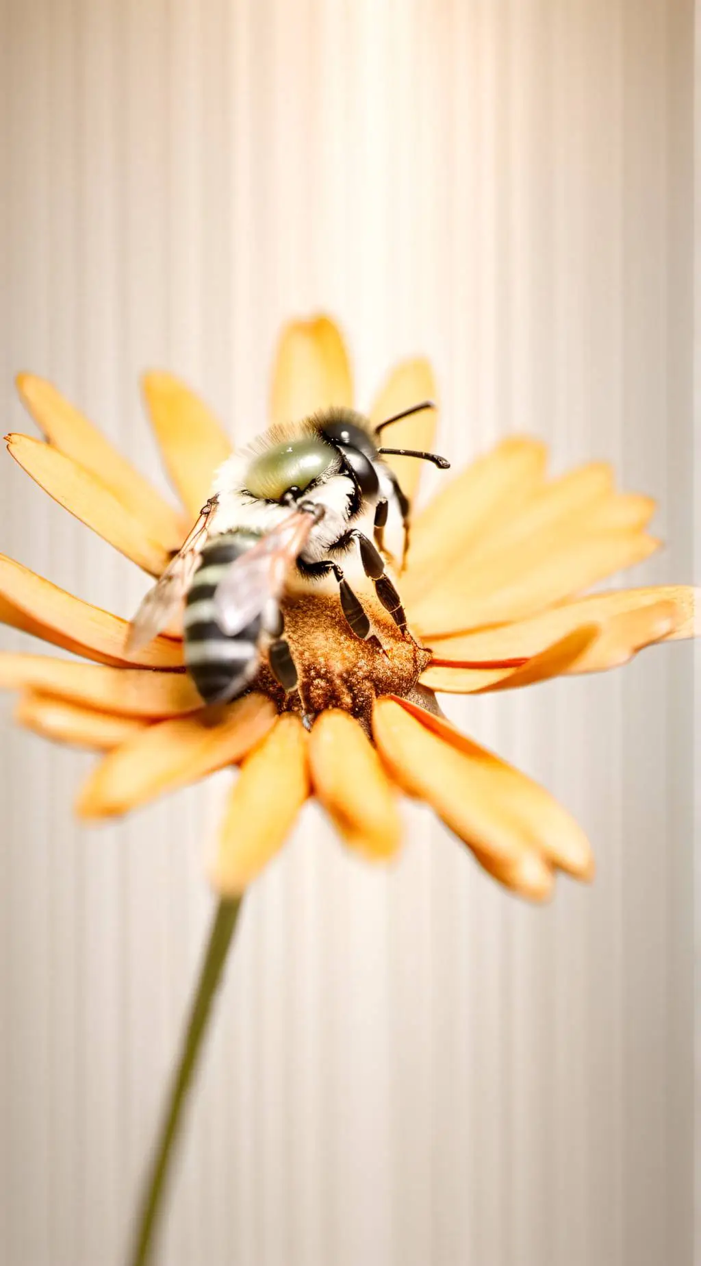 ai character: Hashiras baby background