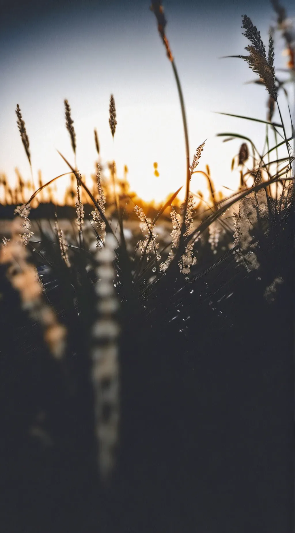 ai character: peaceful grass background