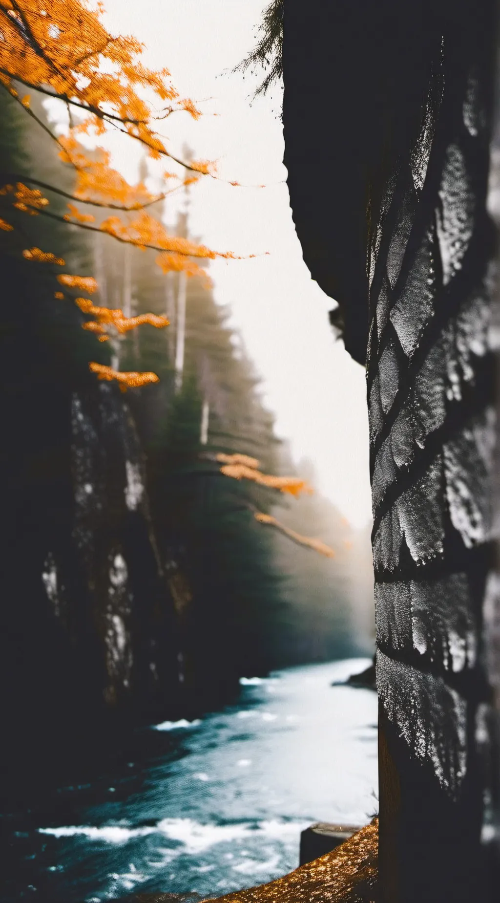 ai character: Hogwarts background