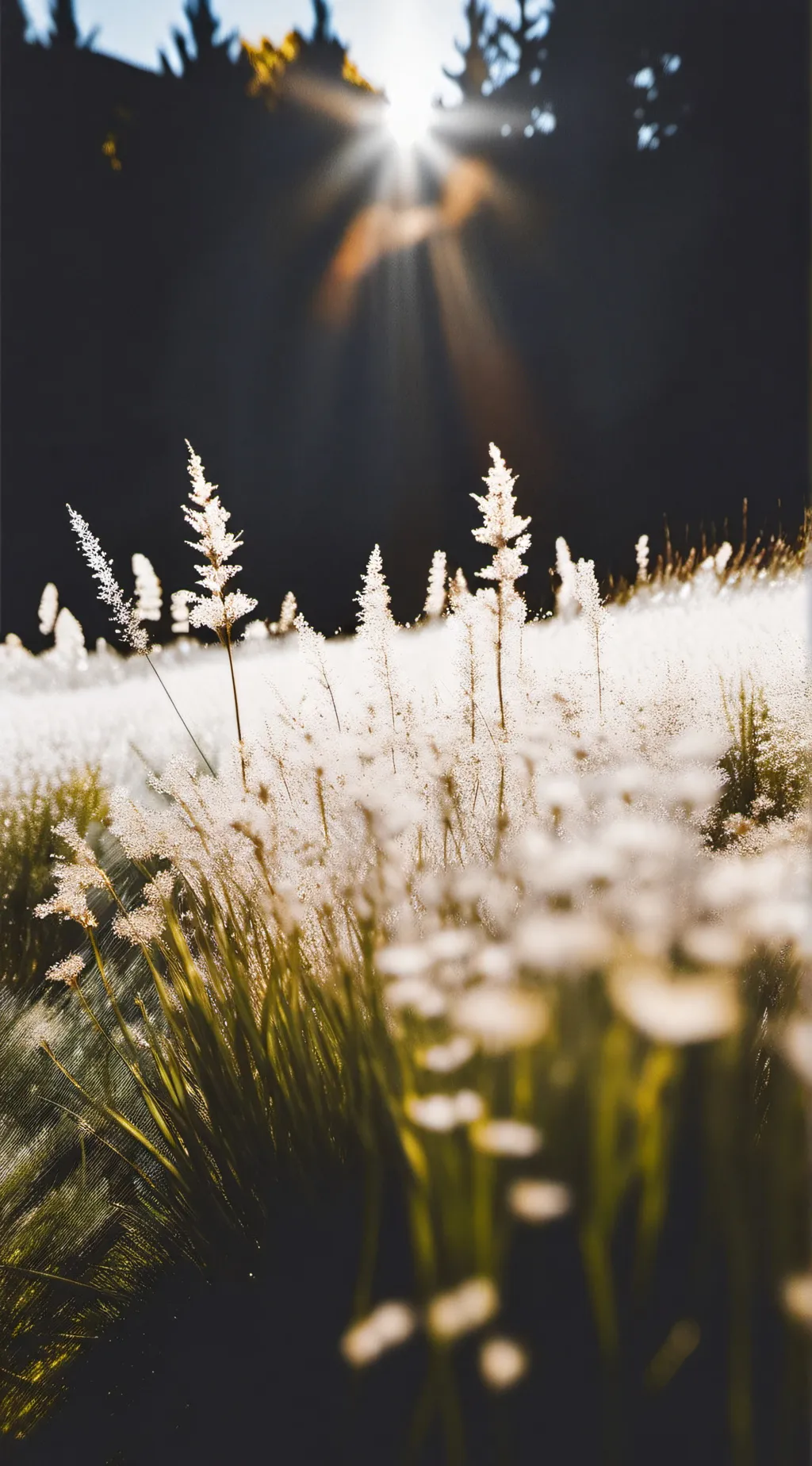 ai character: Grass background