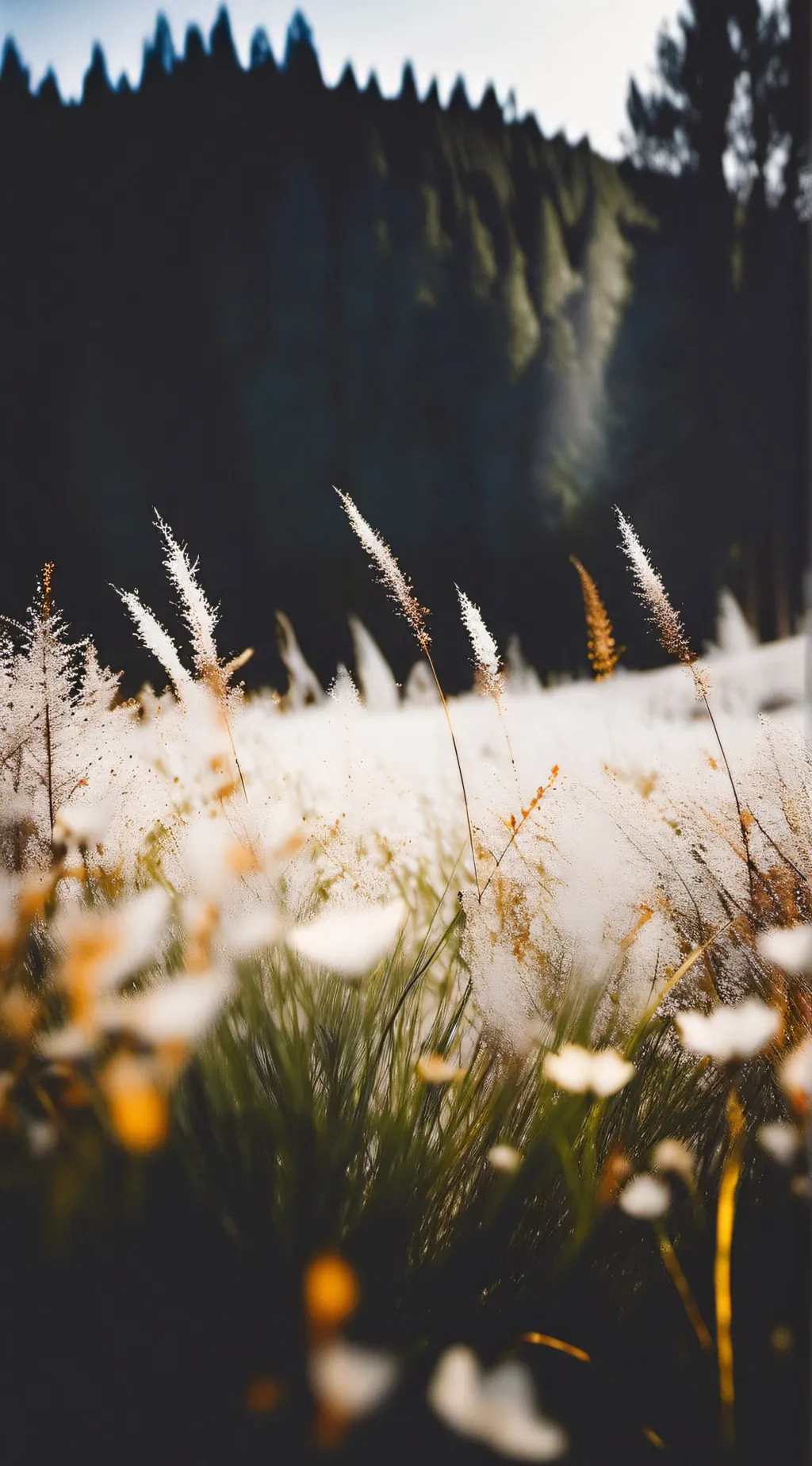 ai character: touch grass background