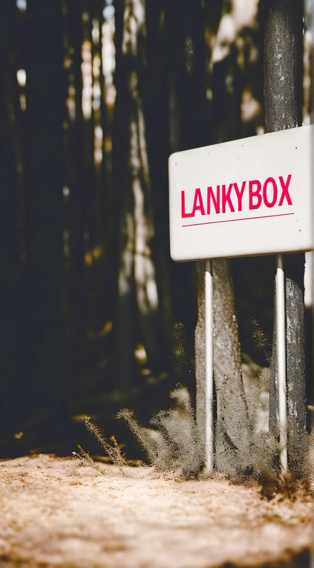 ai character: lankybox  background