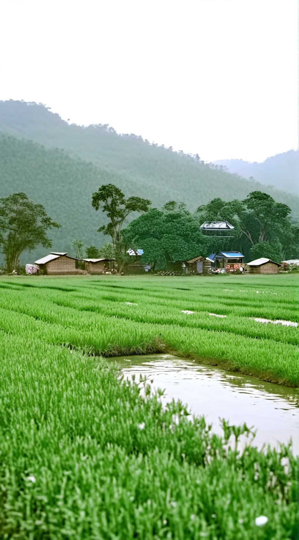 ai character: grass background