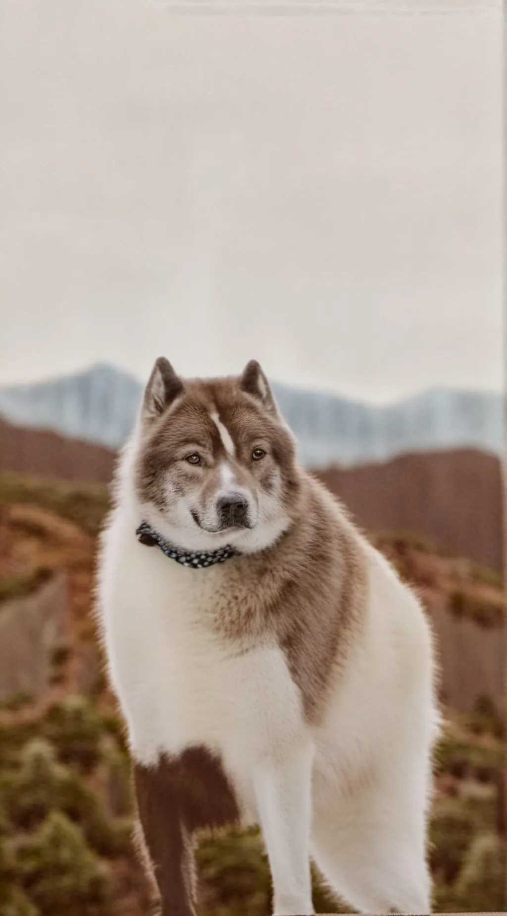 ai character: Striker background