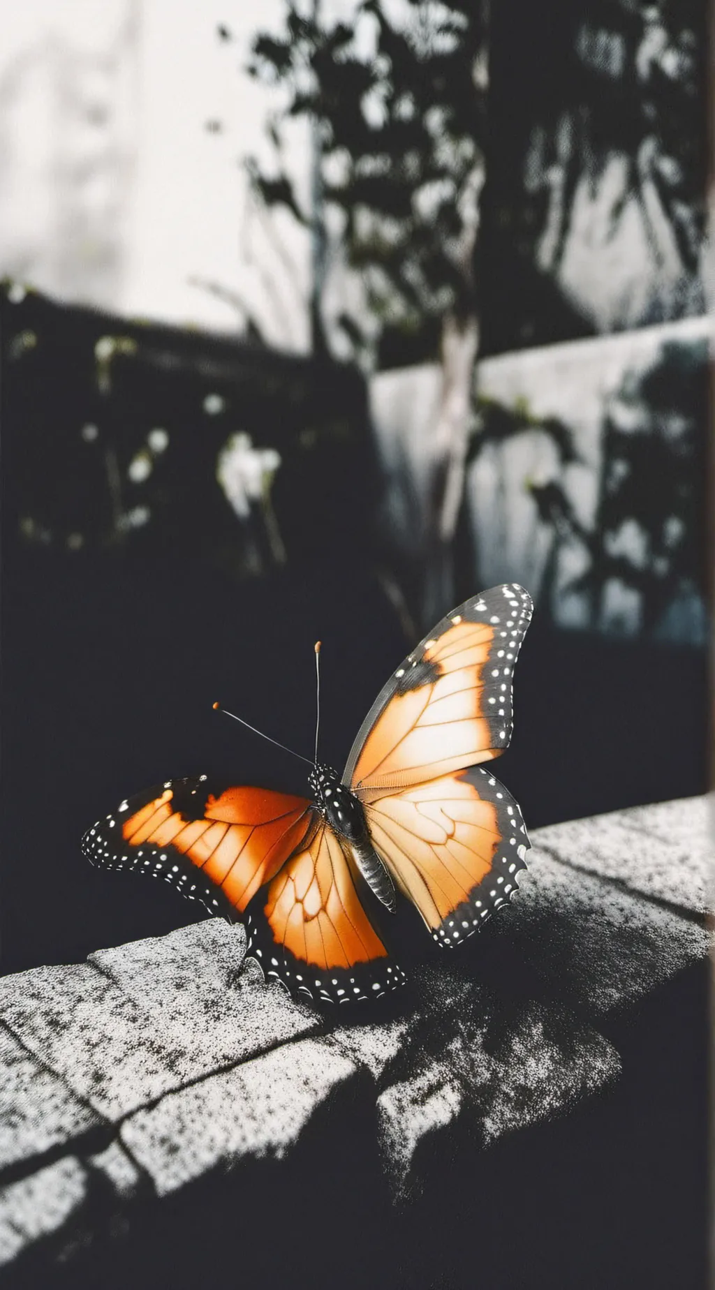 Talkie AI - Chat with tengan and rengoku