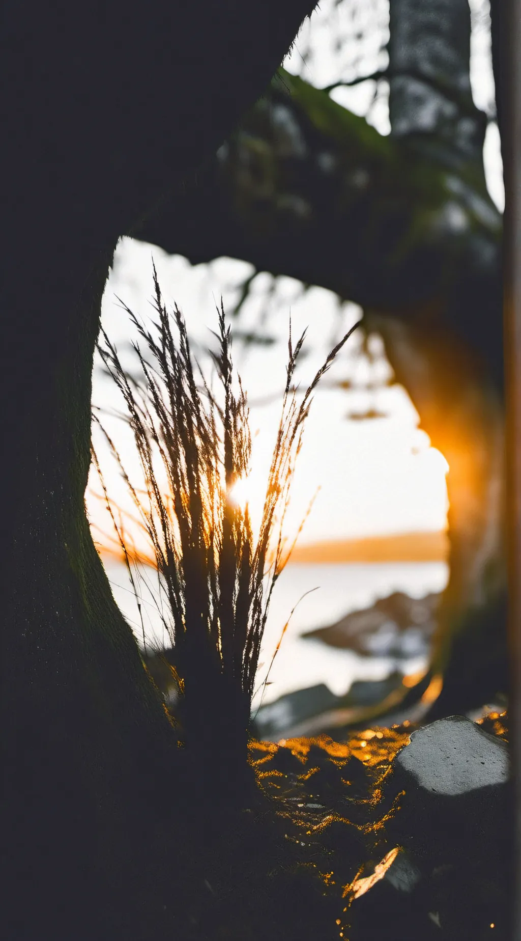 ai character: Do whatever background