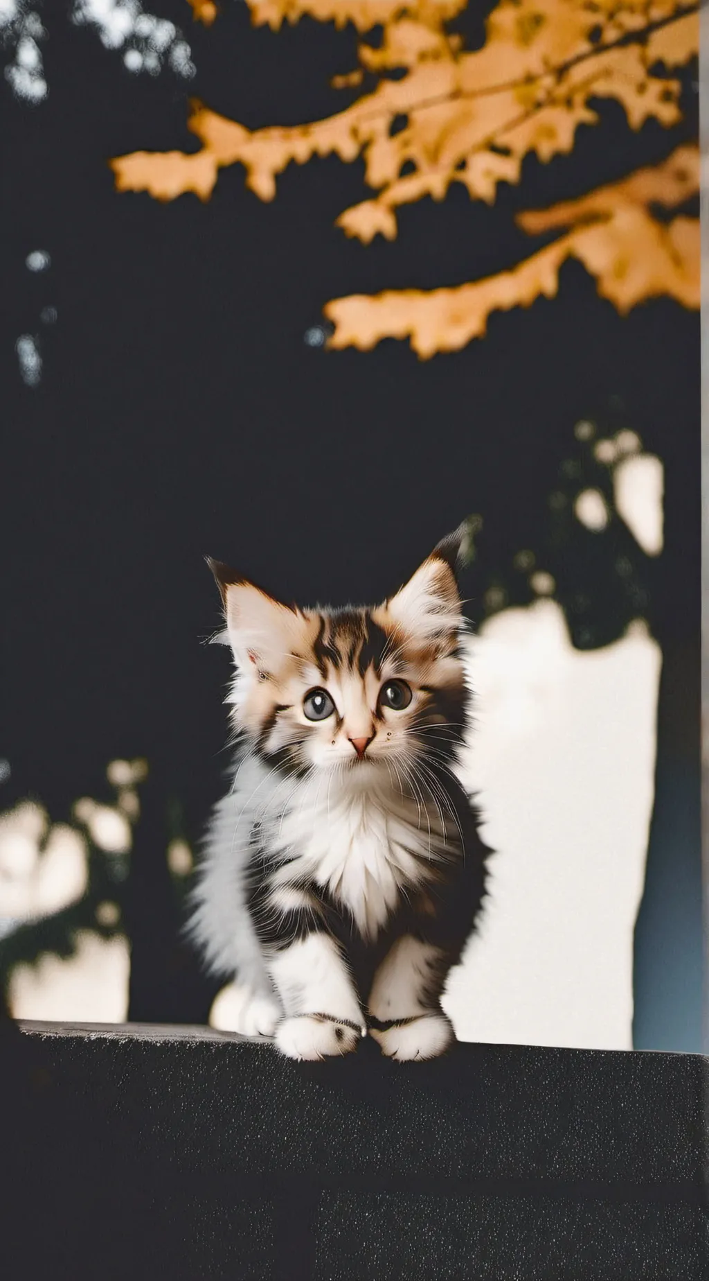 ai character: kitty chan background