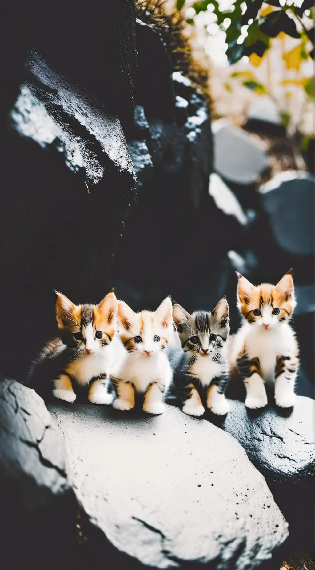 ai character: lost kittens background