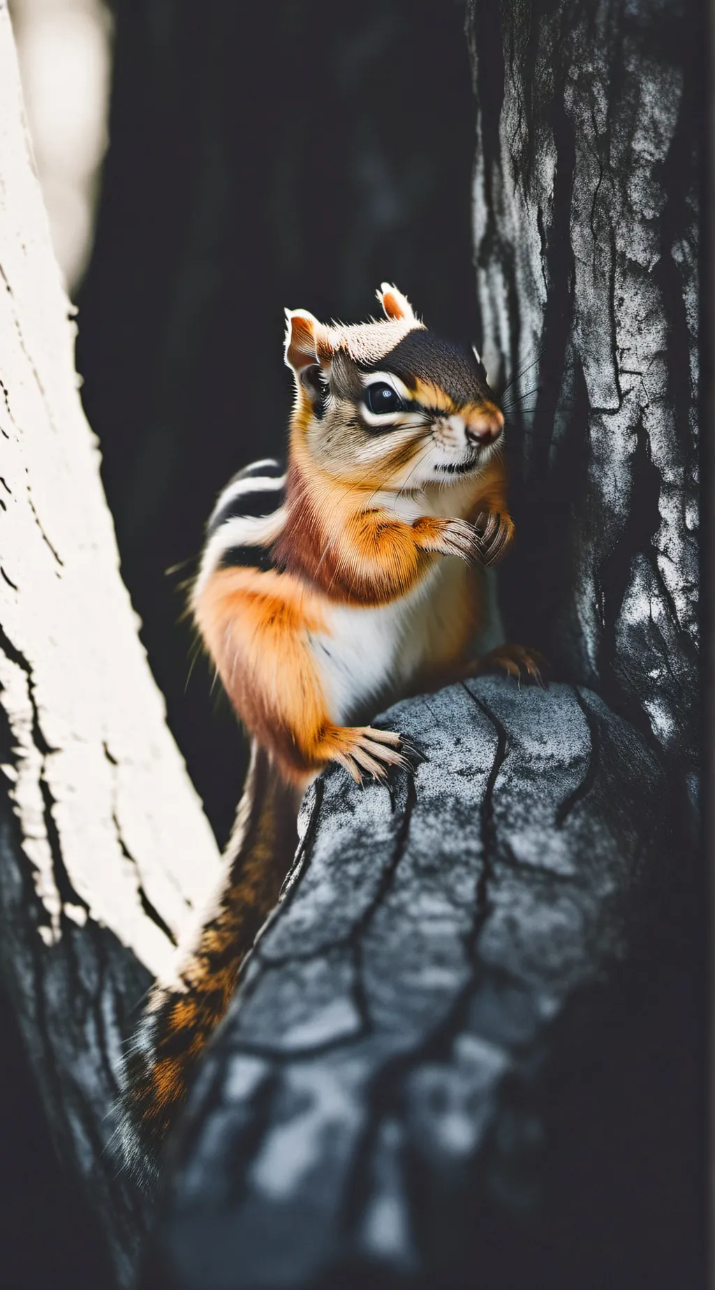 ai character: chipmunk background