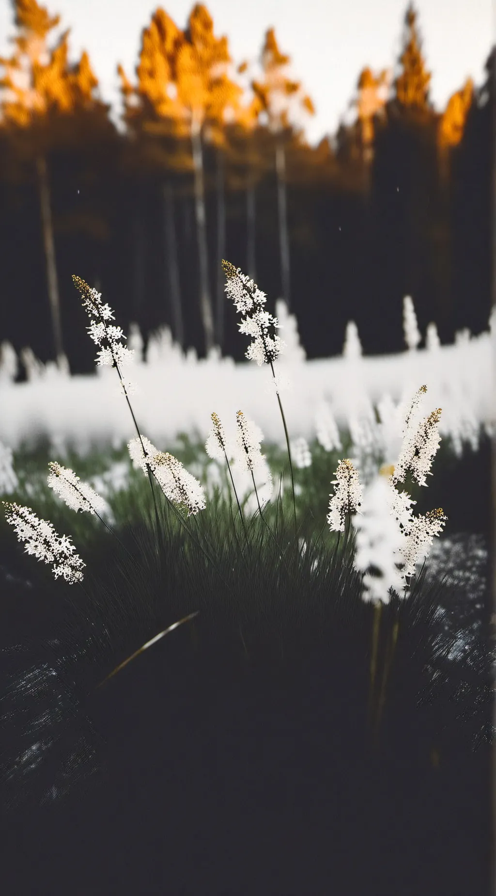 ai character: Touch grass bro💀 background