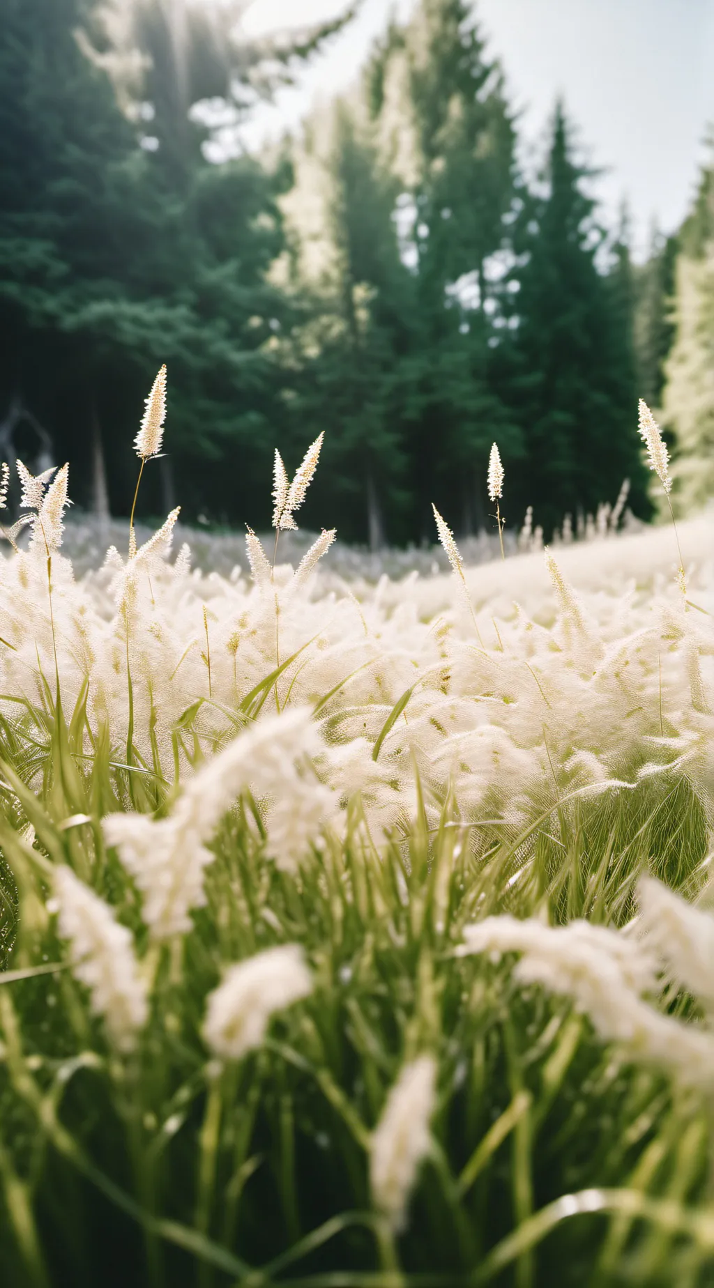 ai character: 🤫 background