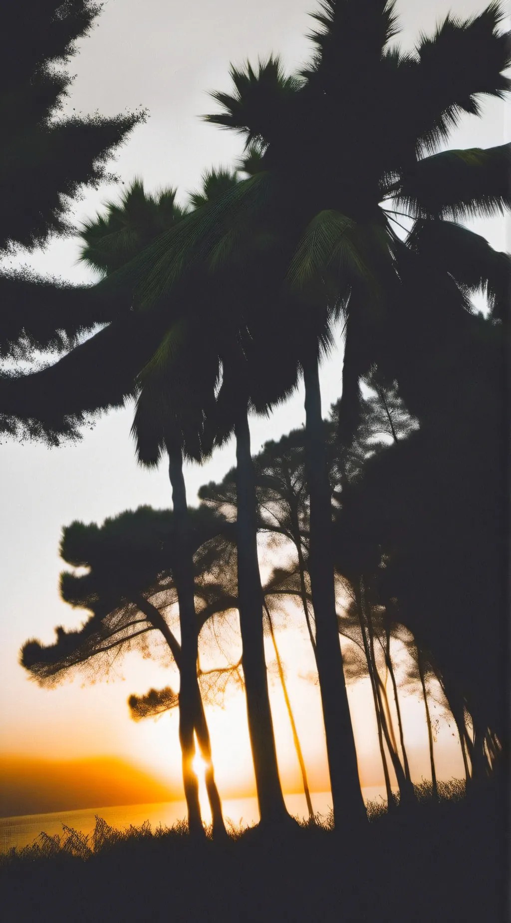 Talkie AI - Chat with Preppy or Tomboy🤪🤠