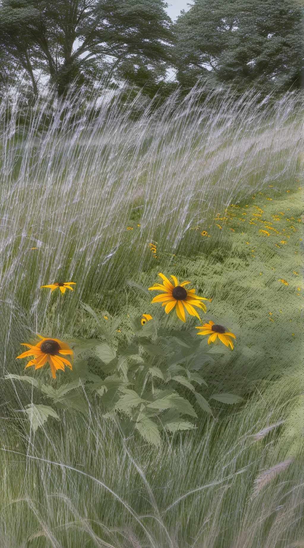 ai character: Mikey (rottmnt)  background