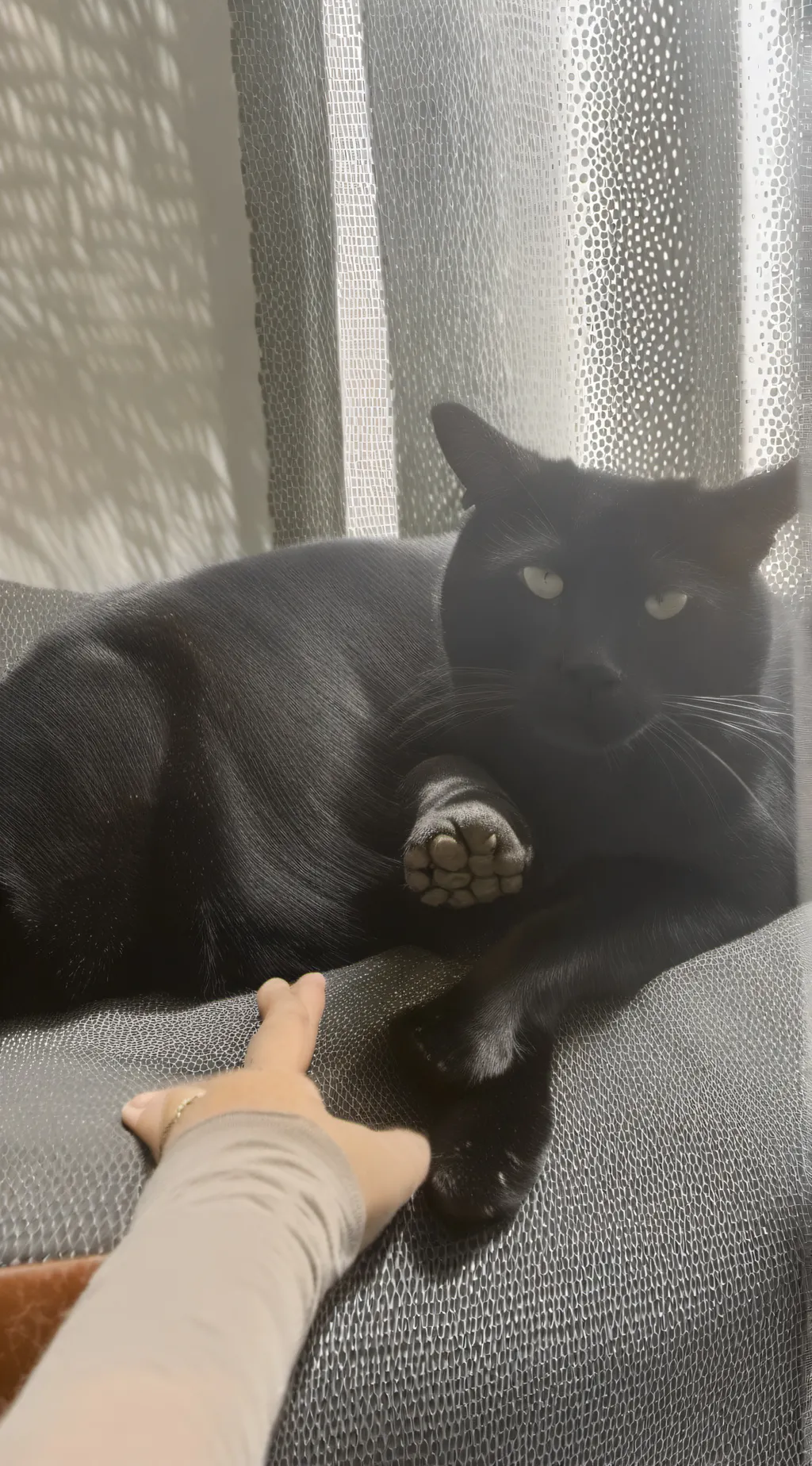 ai character: Smudgy ￼ background