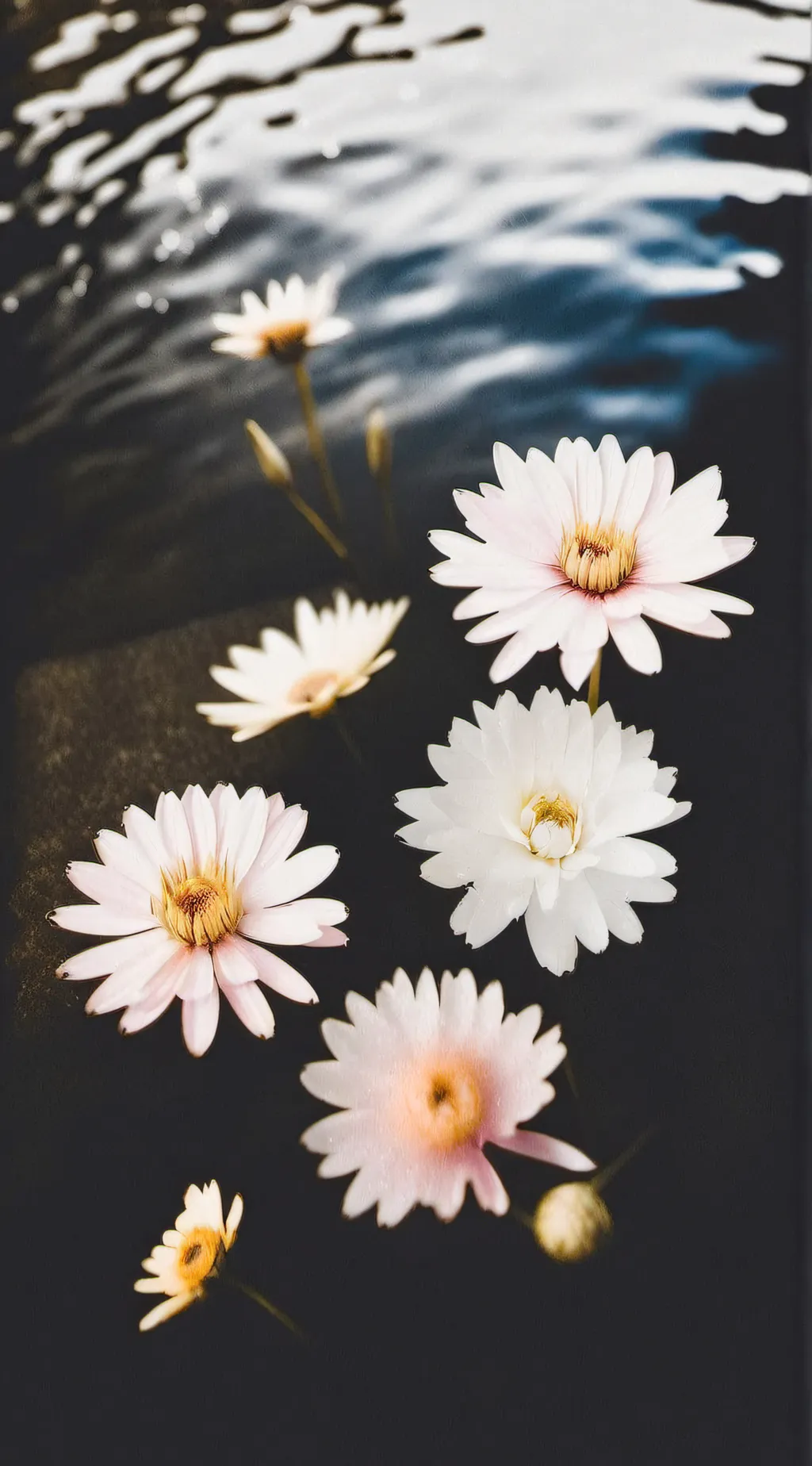 ai character: 🩷🌷🌸flowers🌸🌷🩷 background