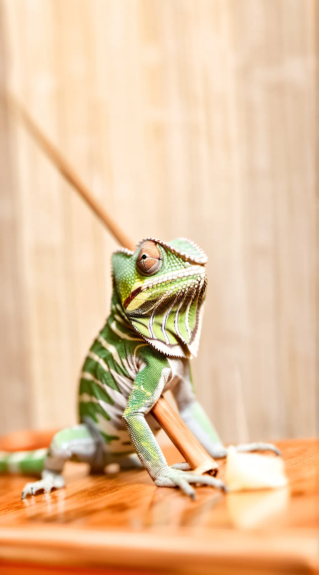 ai character: Pascal background