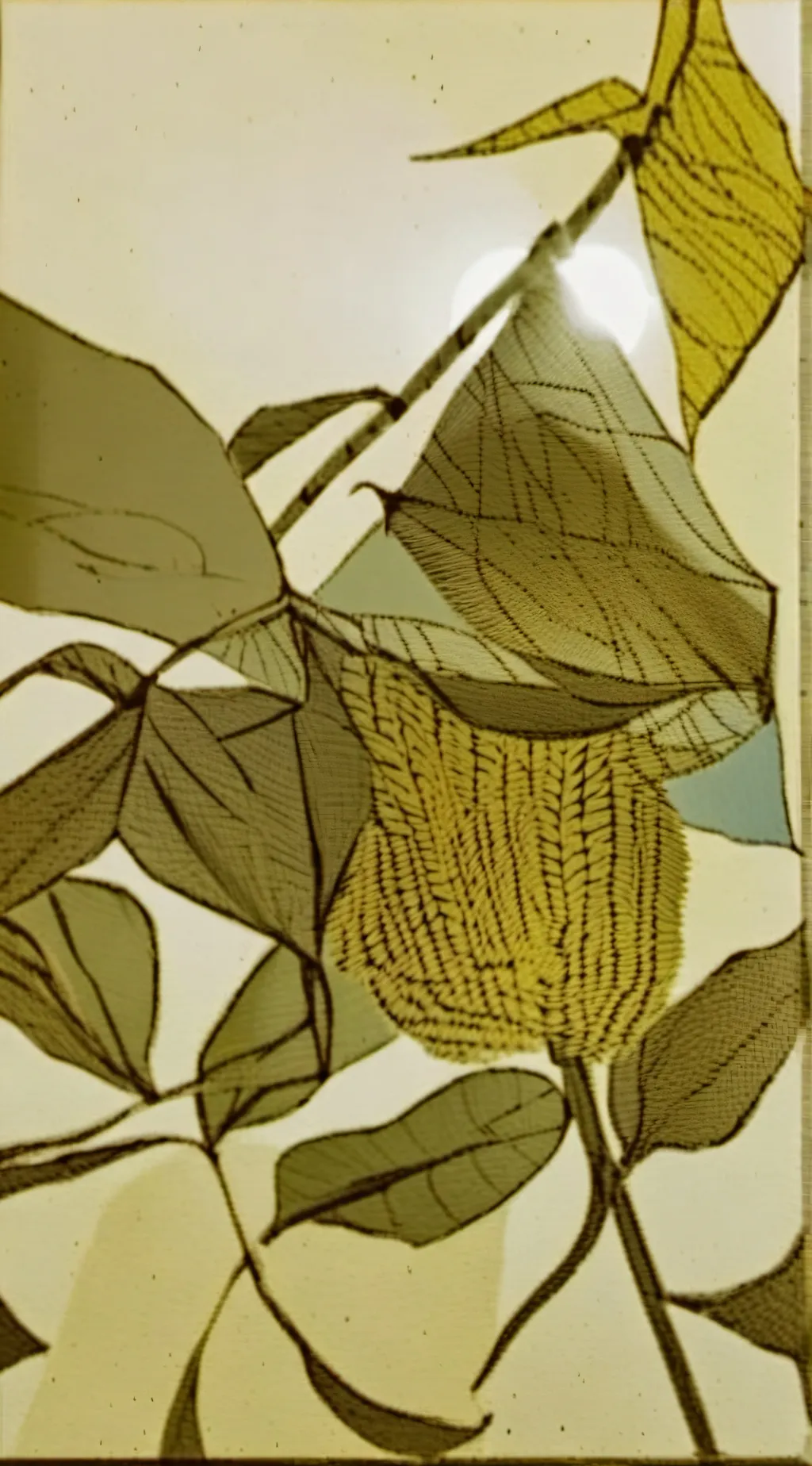 ai character: heyy background